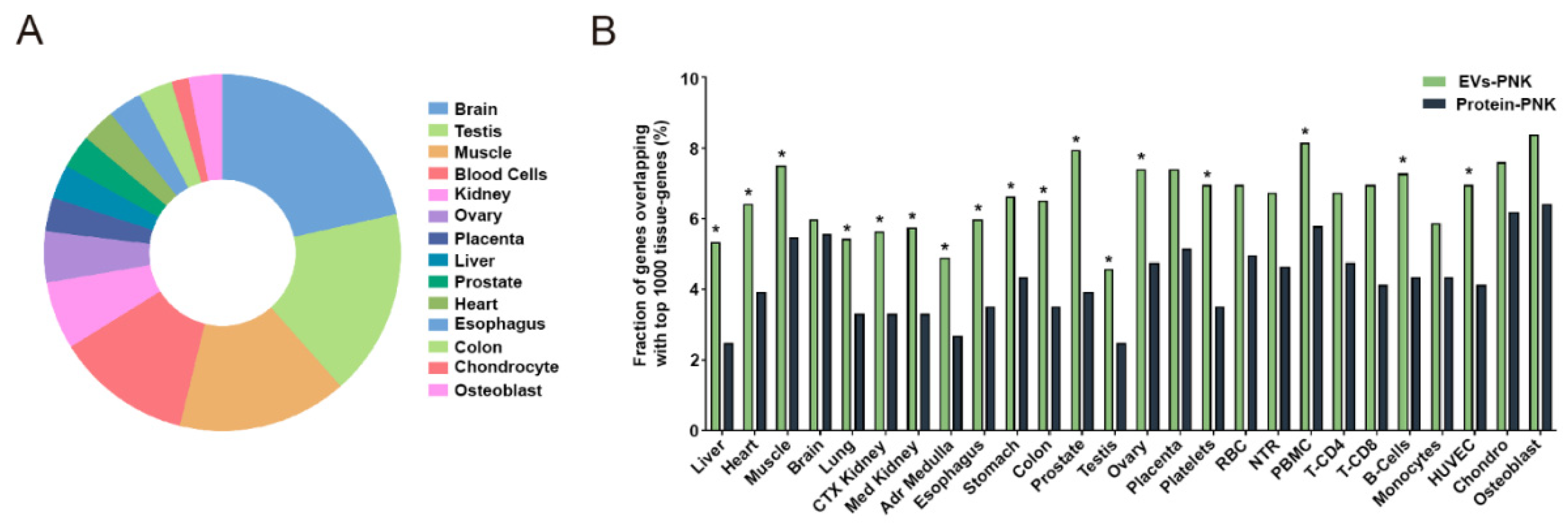 Ijms 24 11653 g003 Ijms 24 11653 g003