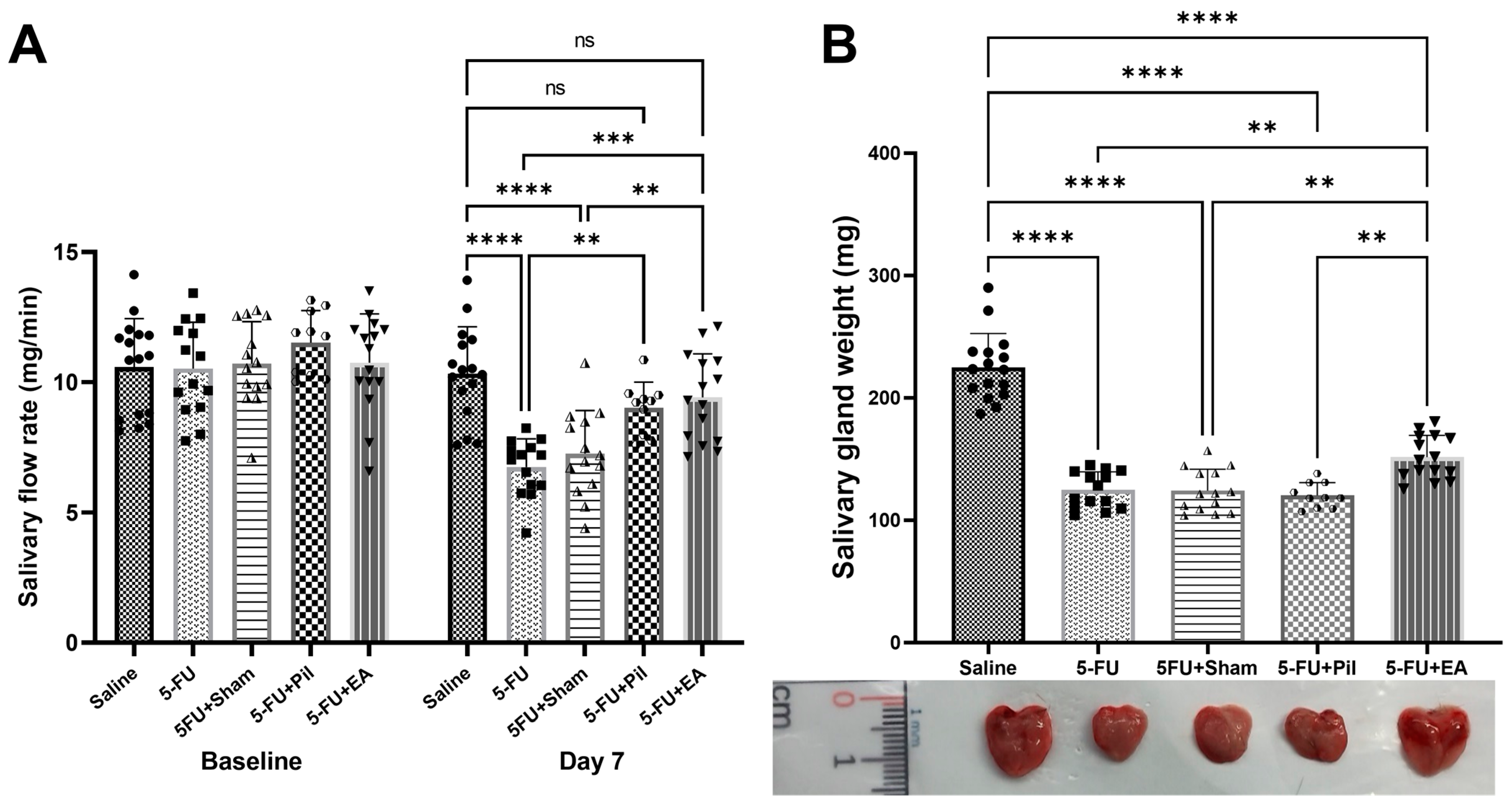 Ijms 24 11654 g002 Ijms 24 11654 g002
