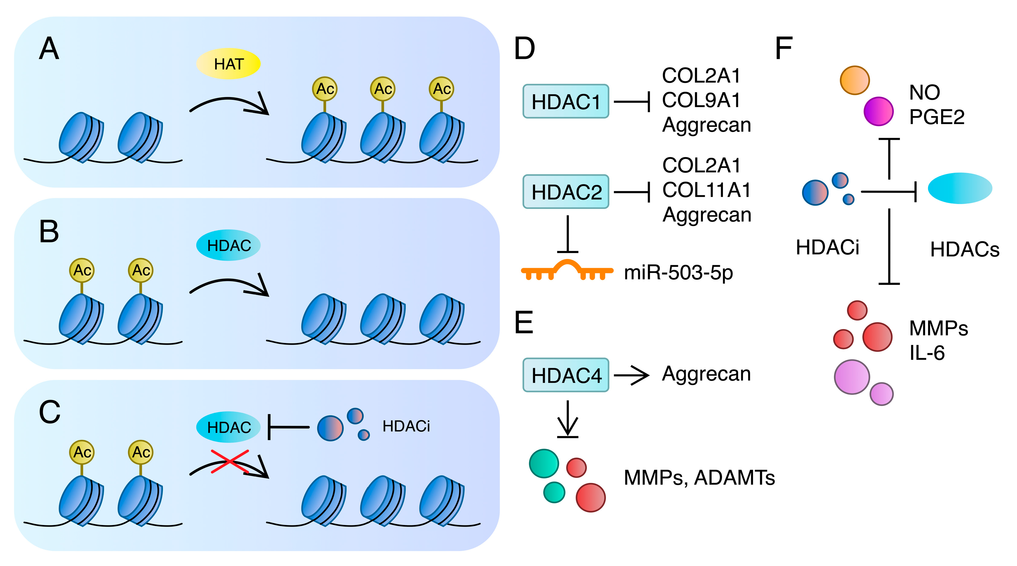 Ijms 24 11655 g005 Ijms 24 11655 g005