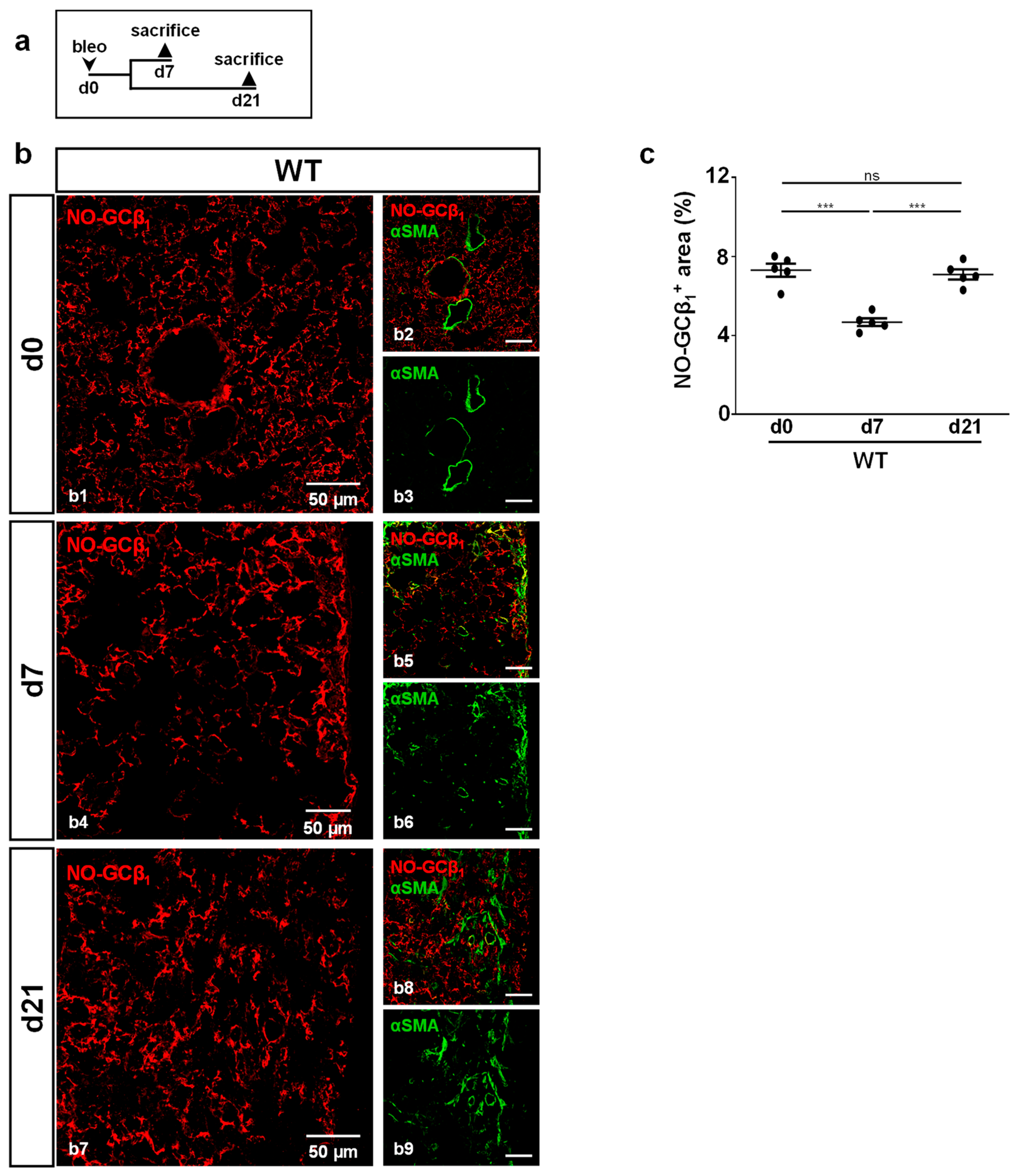 Ijms 24 11661 g003 Ijms 24 11661 g003