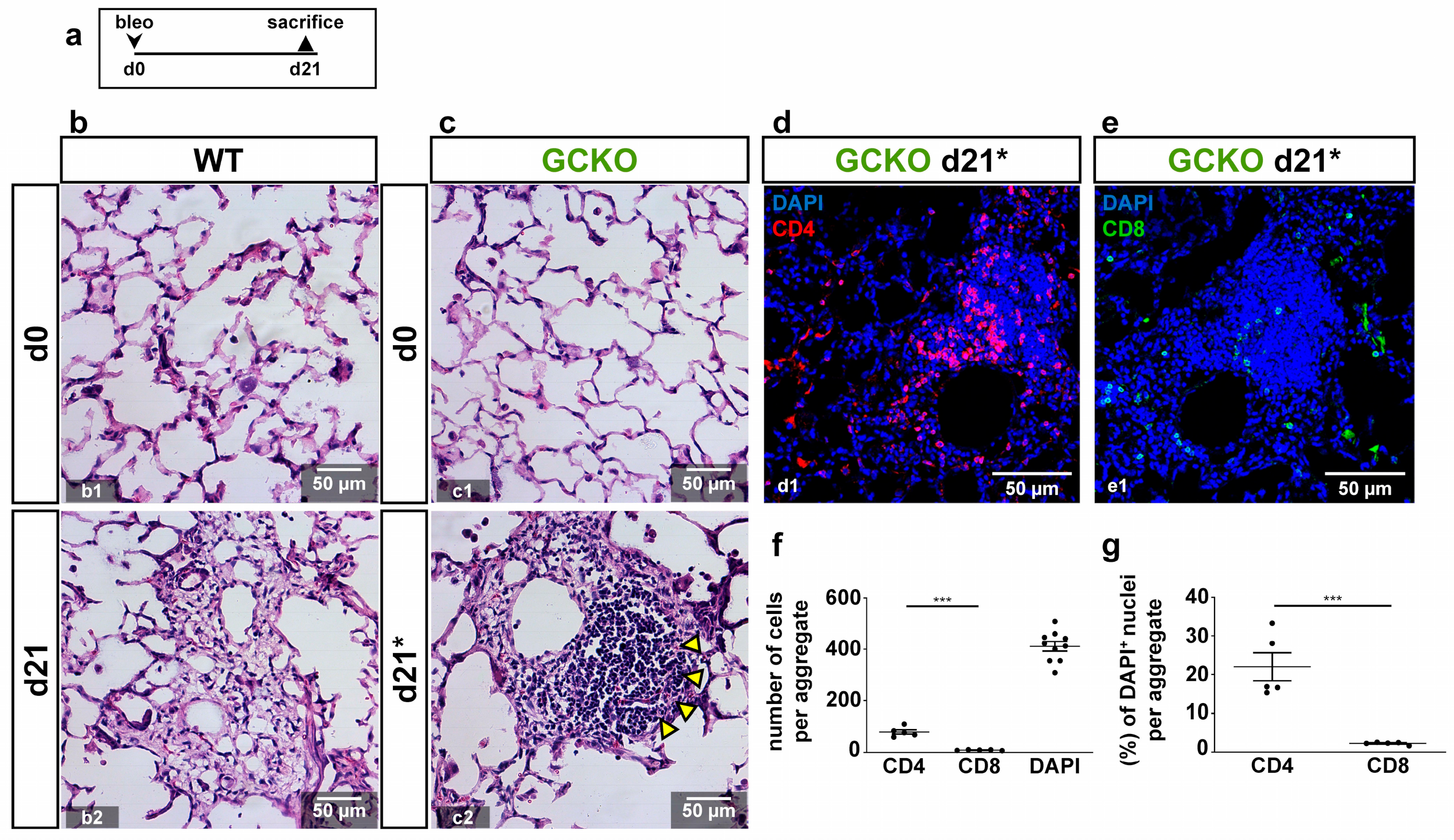 Ijms 24 11661 g005 Ijms 24 11661 g005