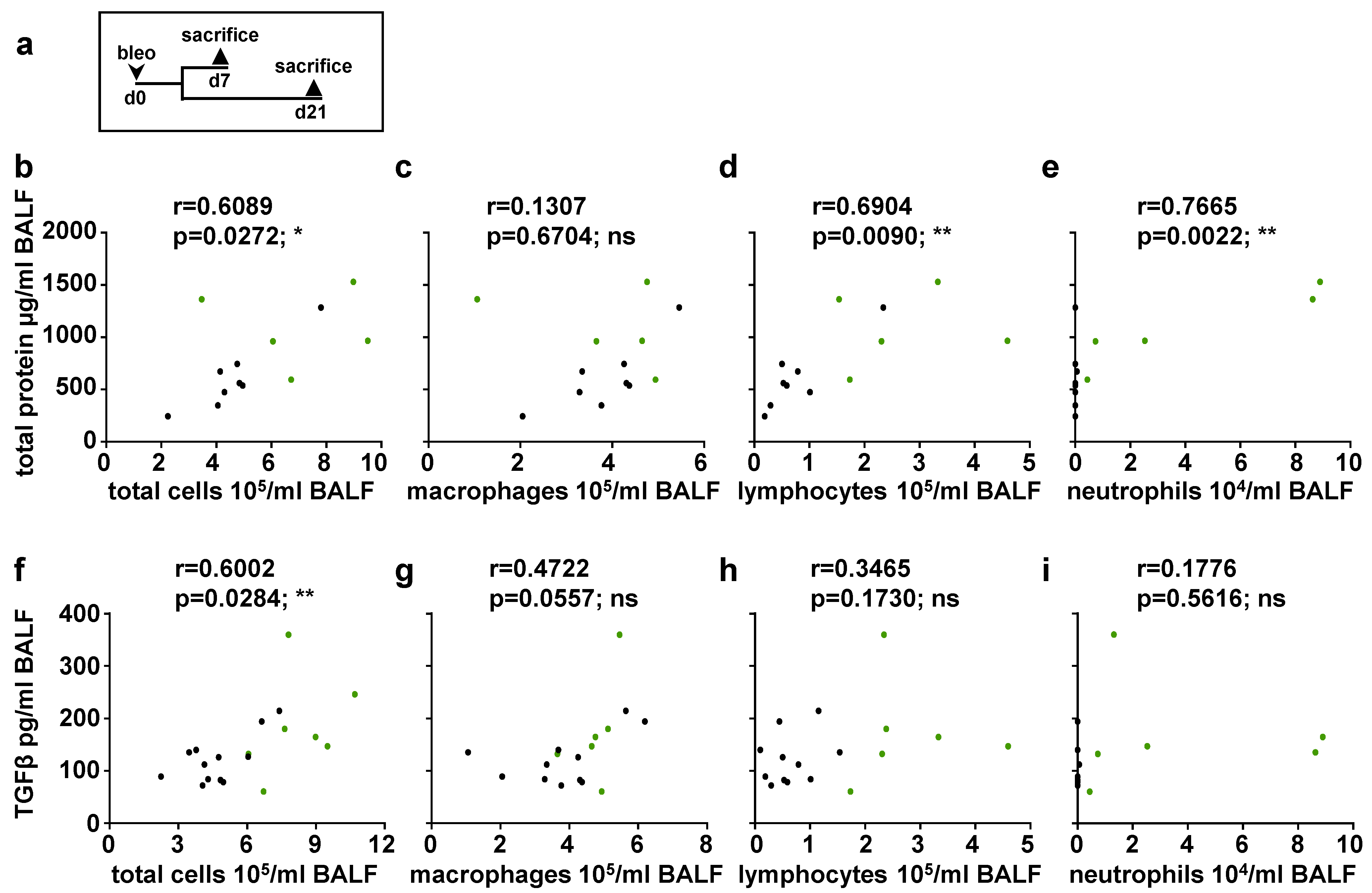 Ijms 24 11661 g007 Ijms 24 11661 g007