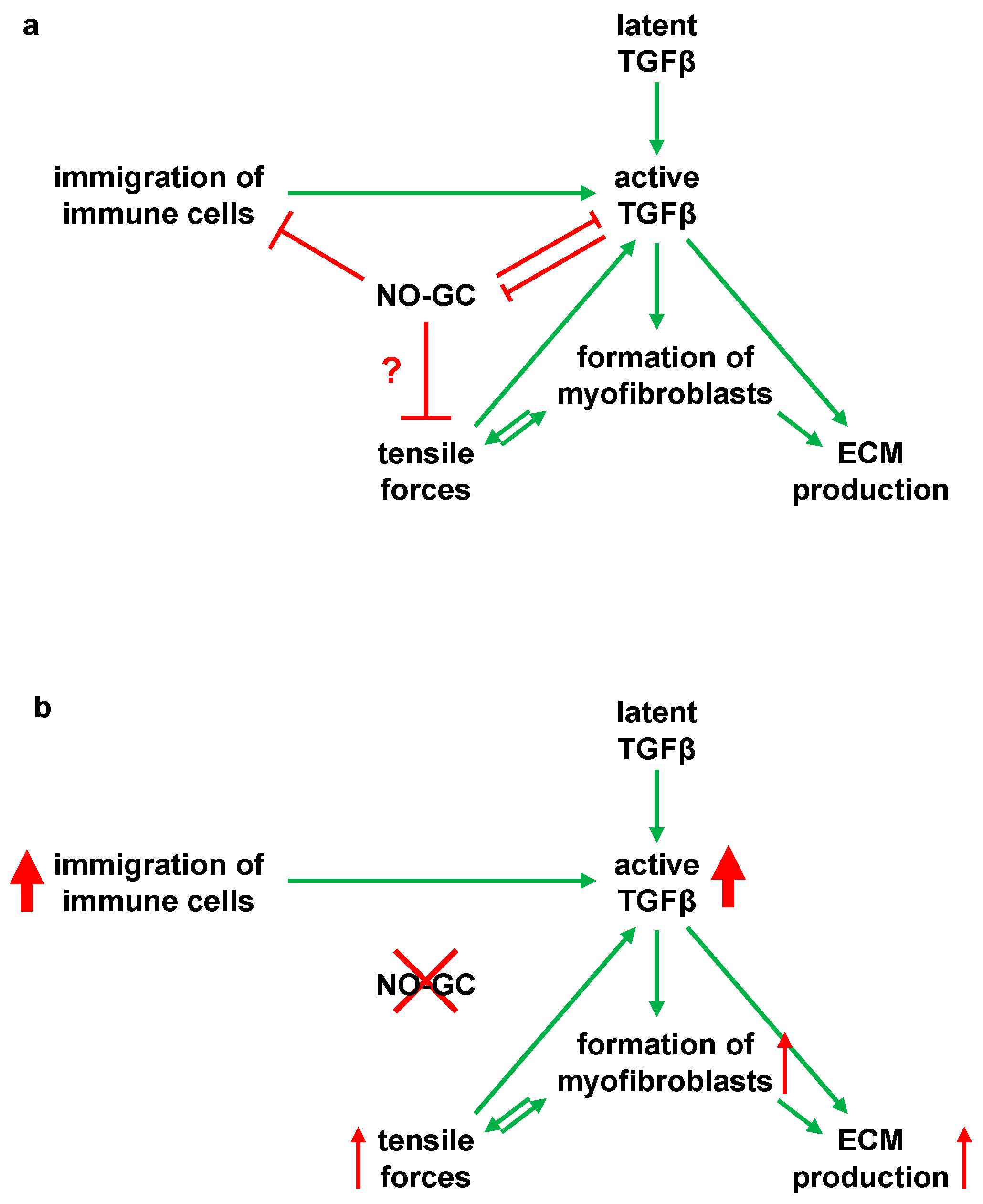 Ijms 24 11661 g008 Ijms 24 11661 g008