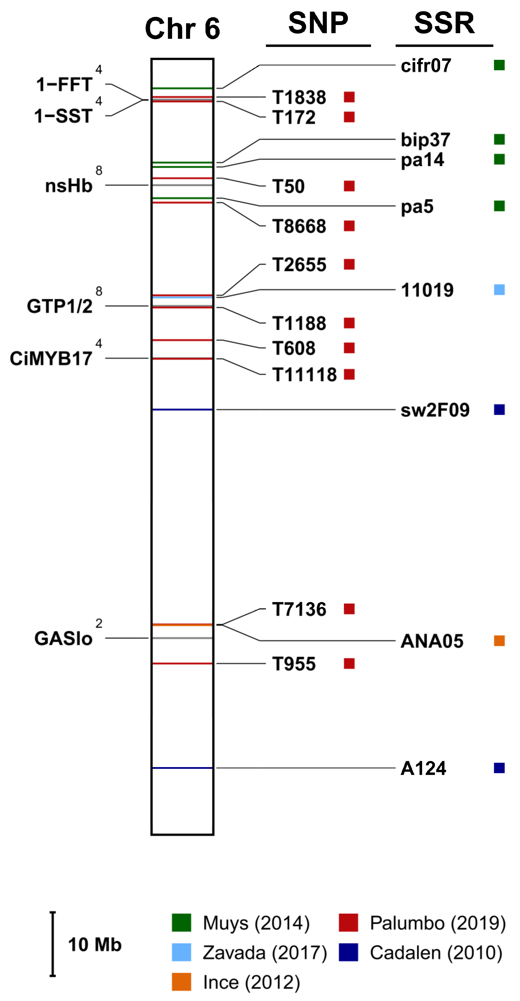 Ijms 24 11663 g003 Ijms 24 11663 g003