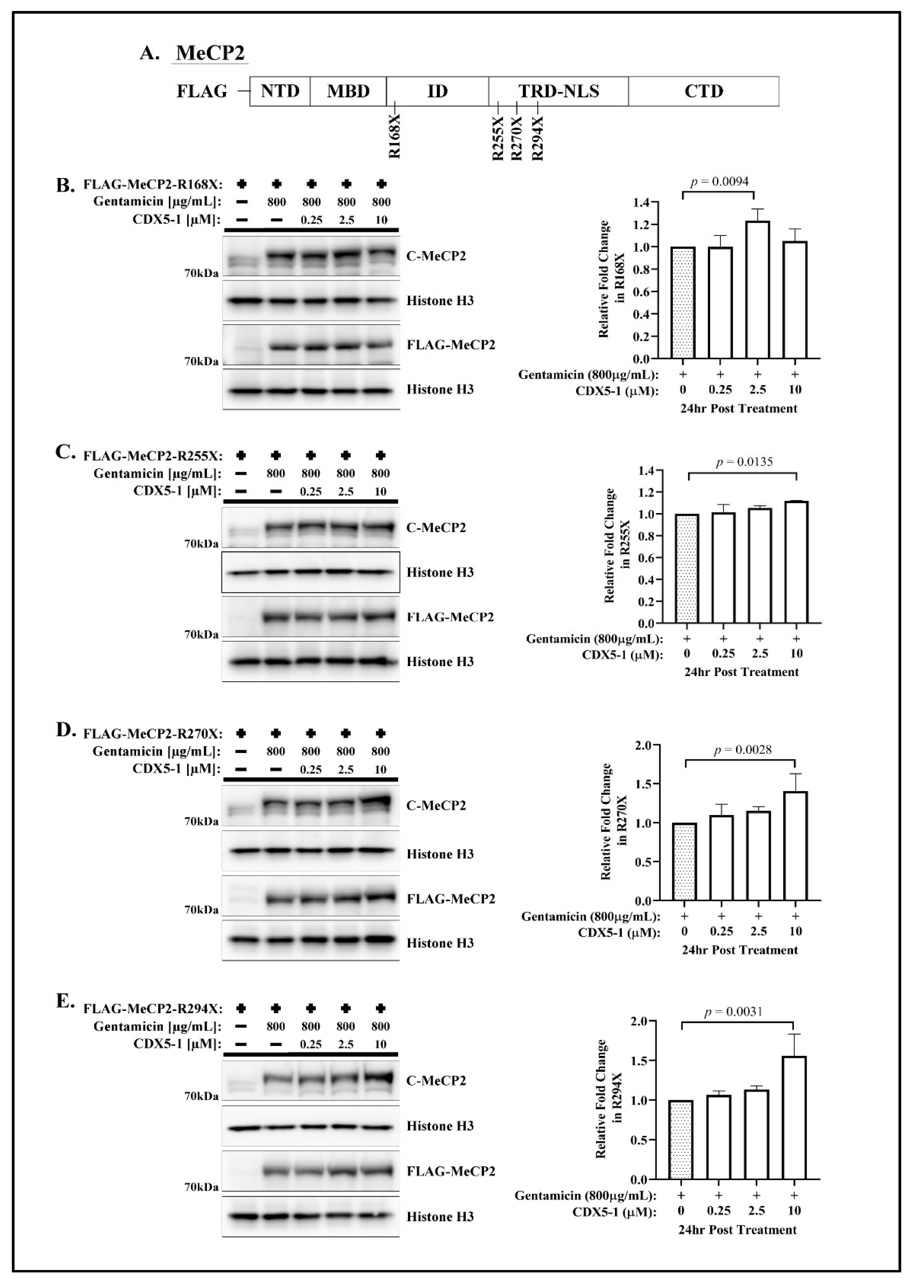 Ijms 24 11665 g001 Ijms 24 11665 g001