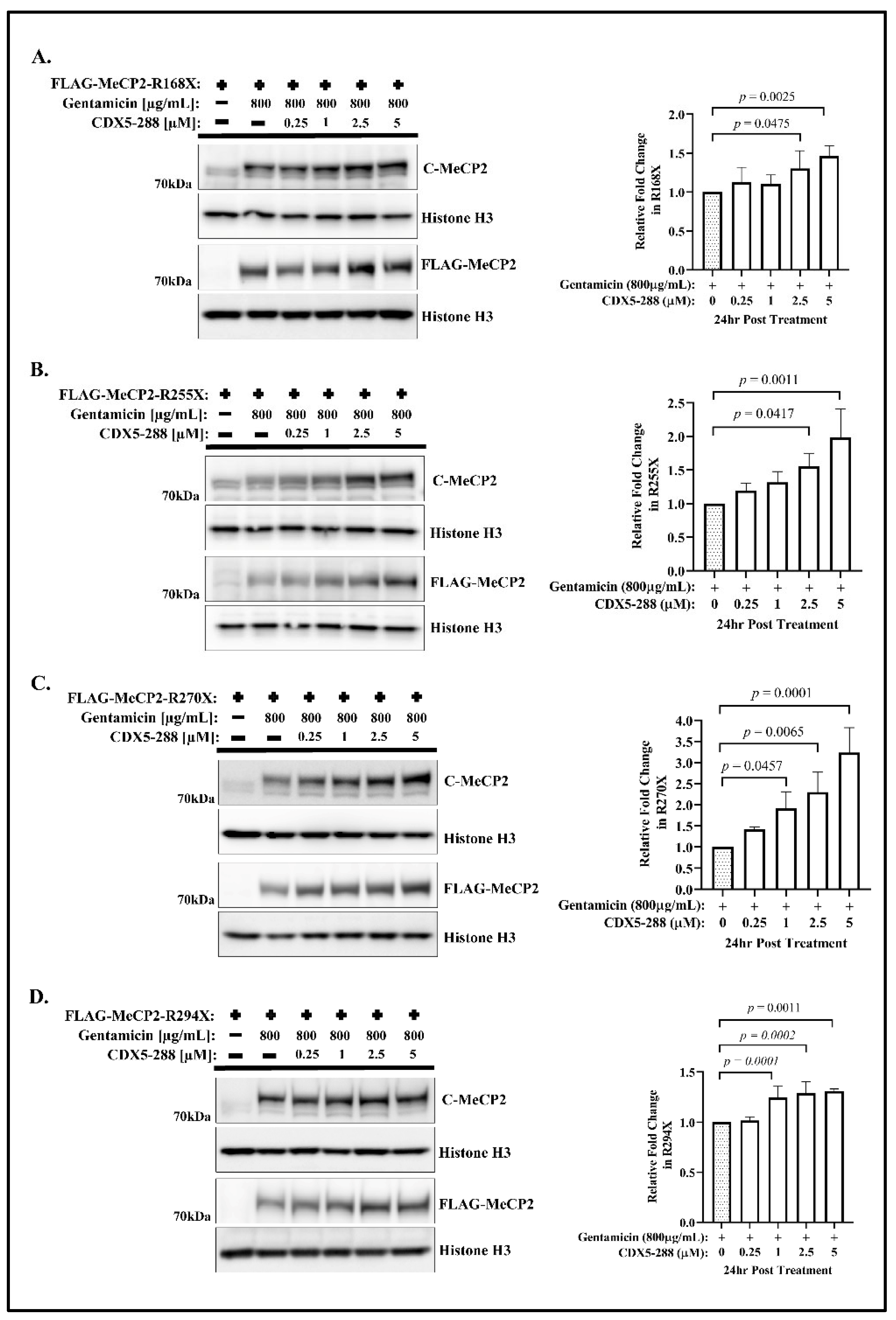 Ijms 24 11665 g002 Ijms 24 11665 g002