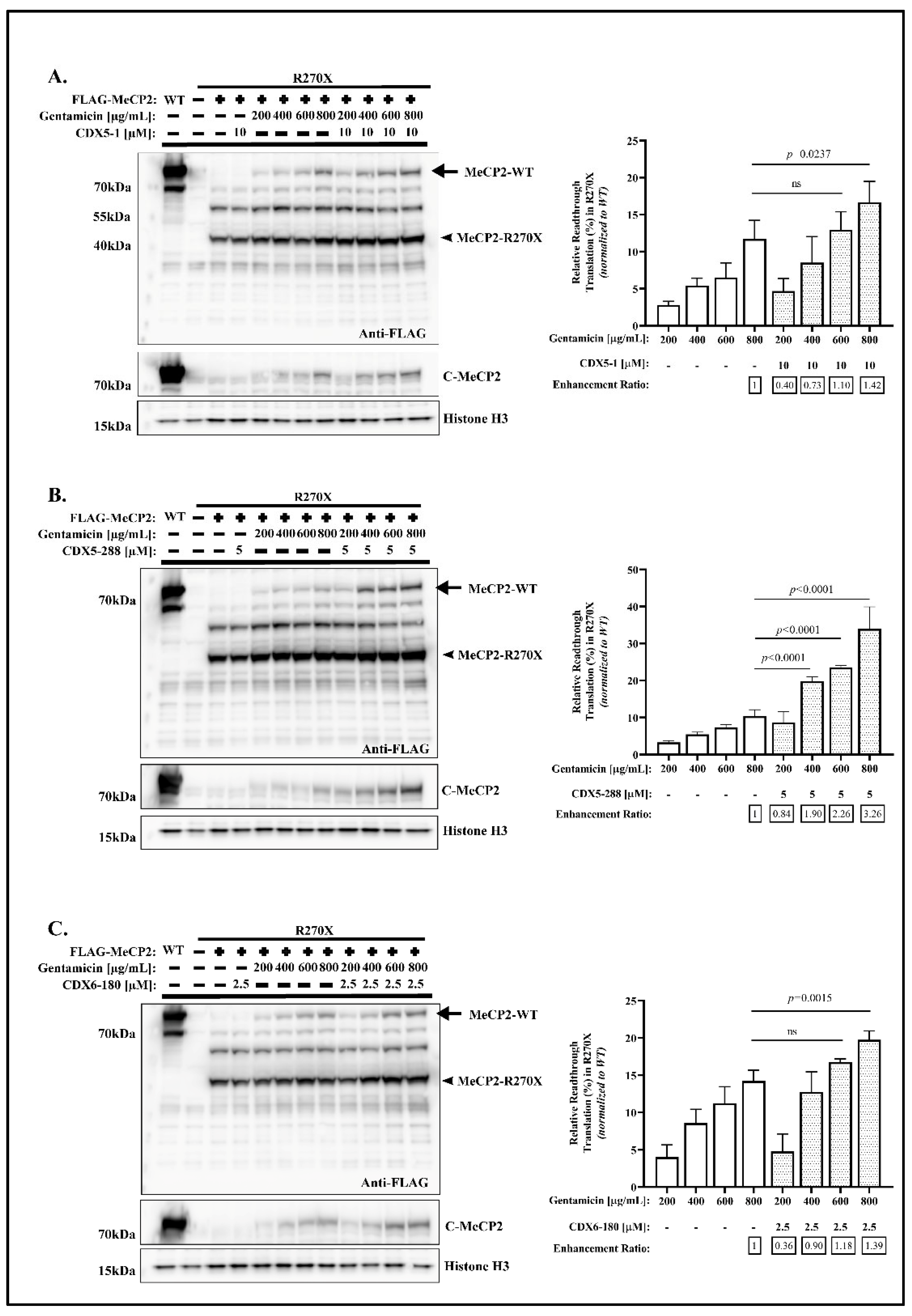 Ijms 24 11665 g006 Ijms 24 11665 g006
