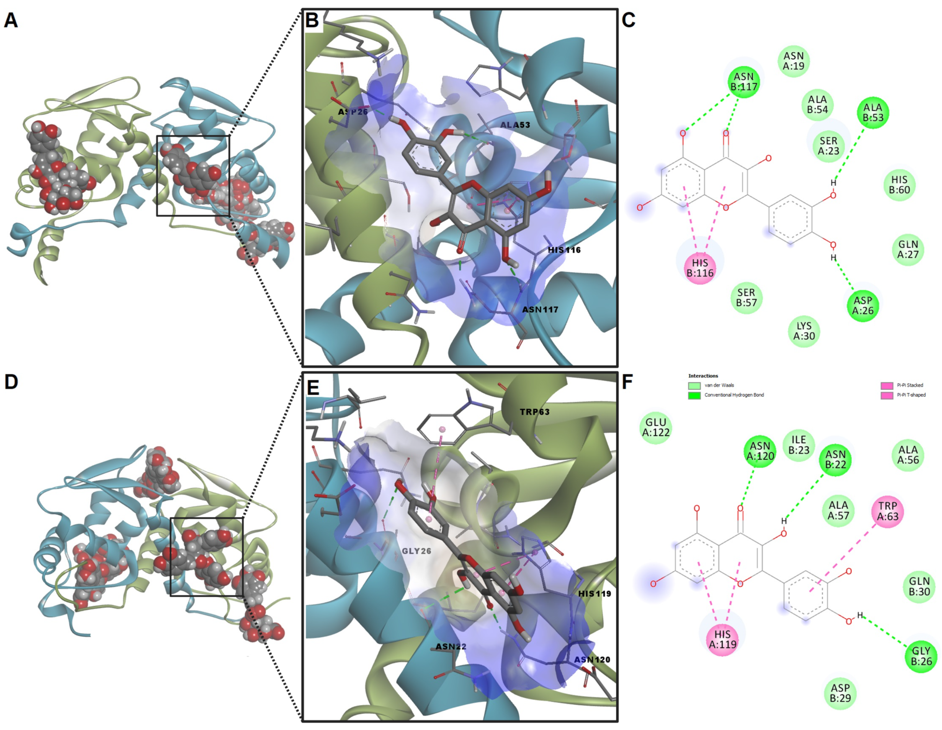 Ijms 24 11670 g008 Ijms 24 11670 g008