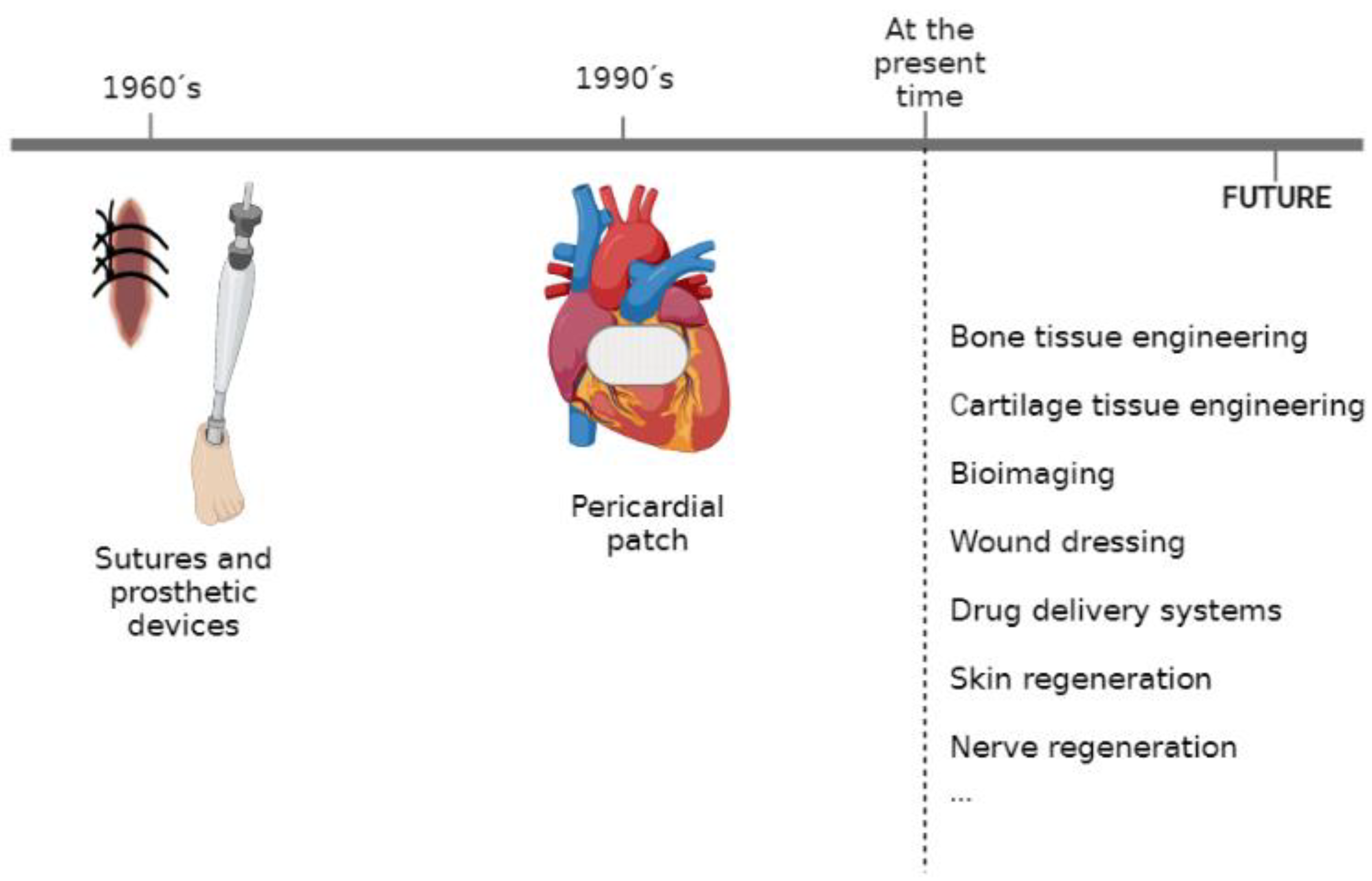 Ijms 24 11674 g005 Ijms 24 11674 g005
