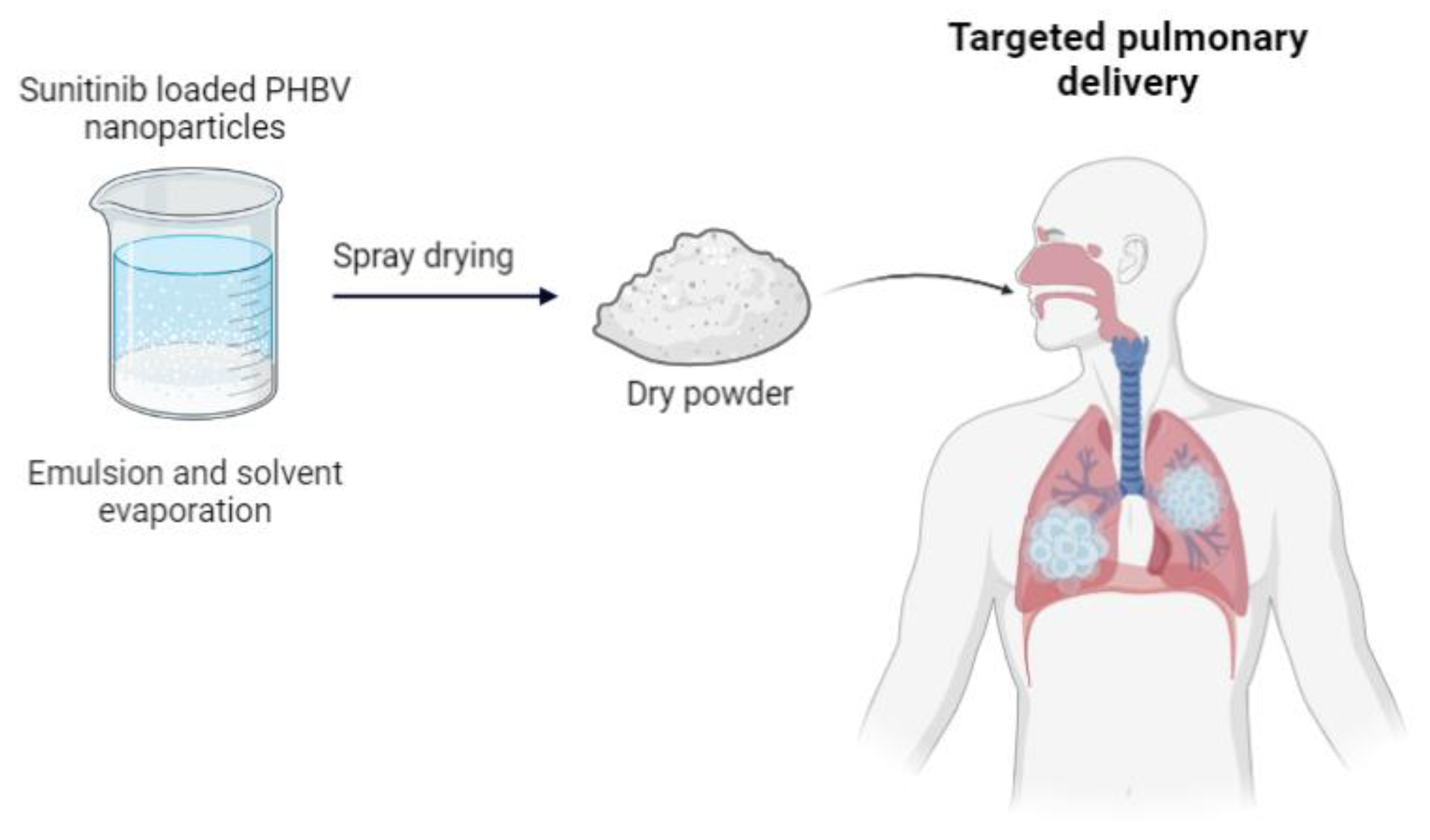 Ijms 24 11674 g006 Ijms 24 11674 g006