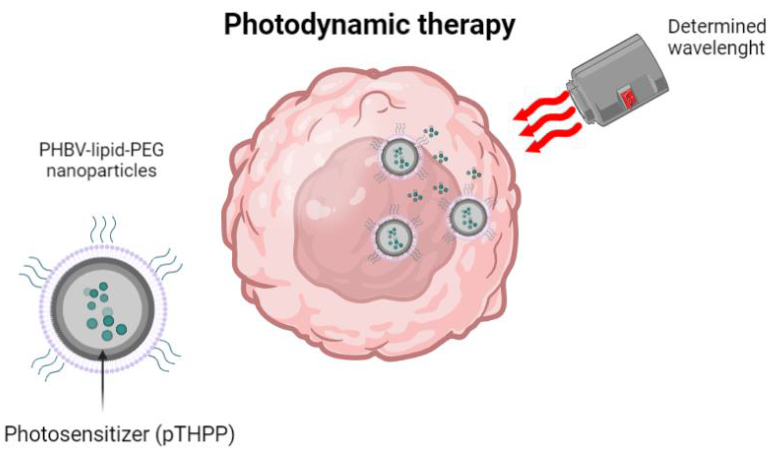 Ijms 24 11674 g007 Ijms 24 11674 g007