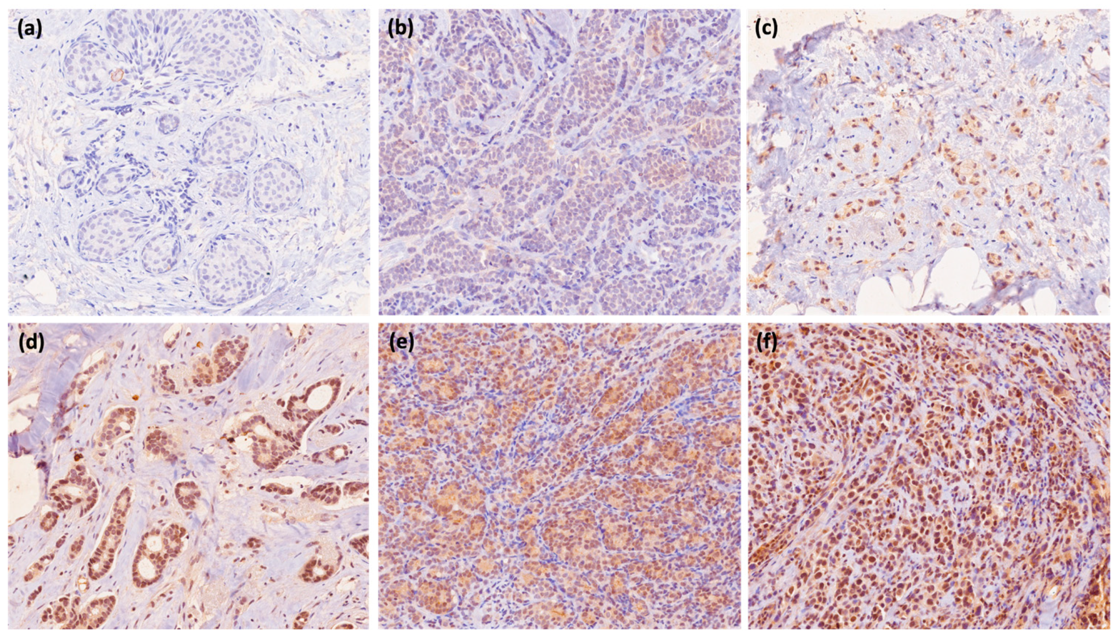 Ijms 24 11678 g001 Ijms 24 11678 g001