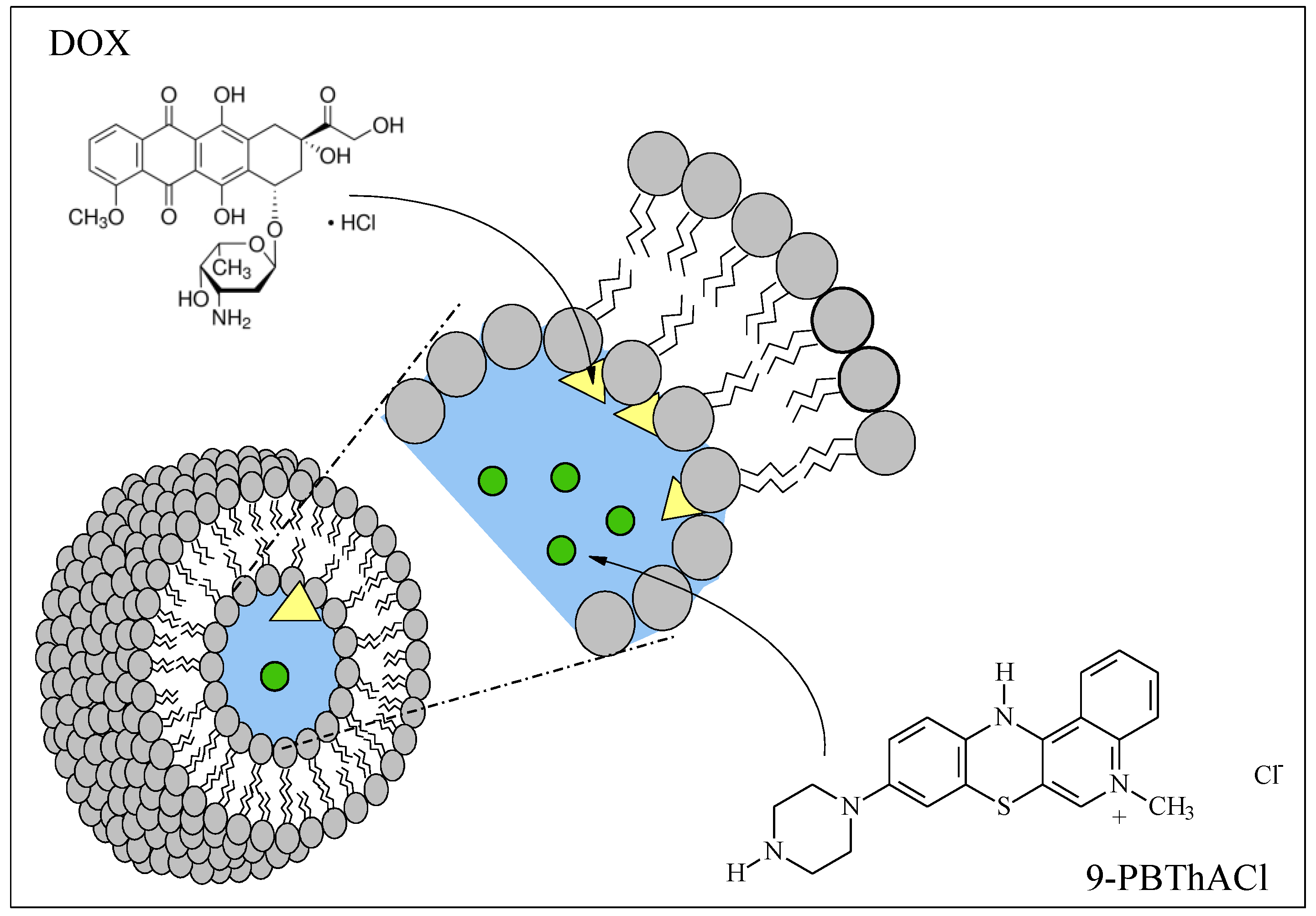 Ijms 24 11686 g003 Ijms 24 11686 g003