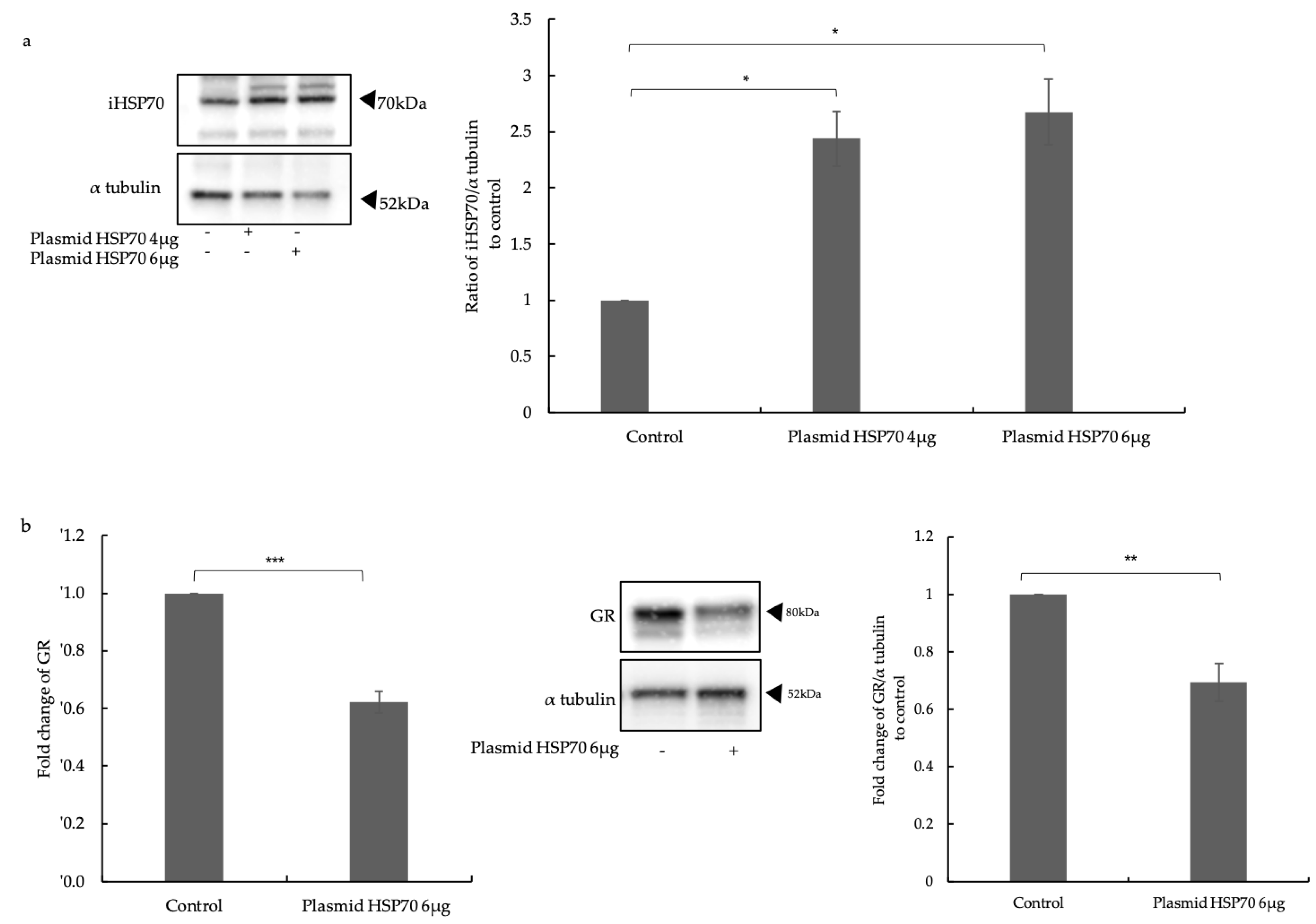 Ijms 24 11700 g001 Ijms 24 11700 g001