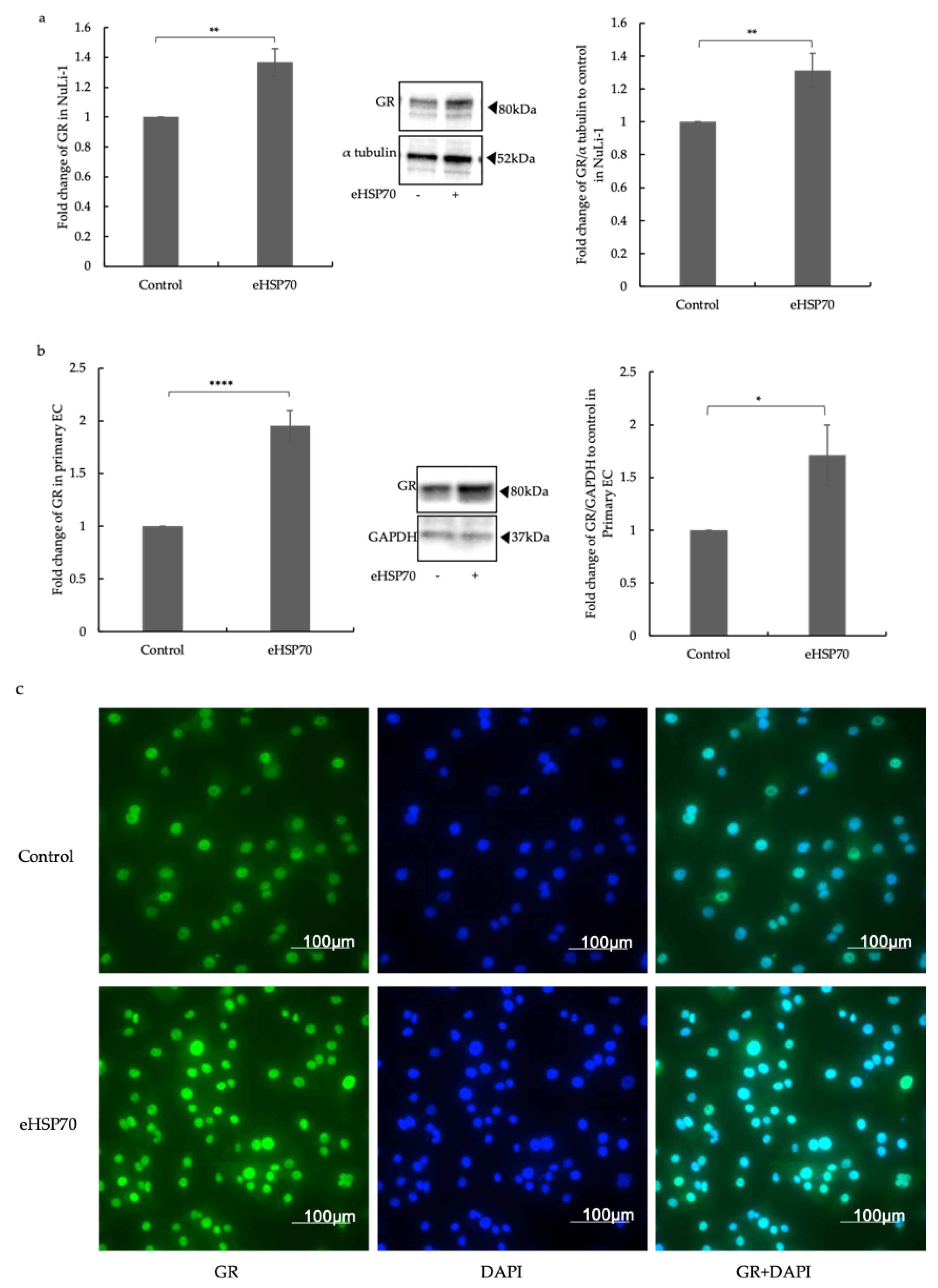 Ijms 24 11700 g002 Ijms 24 11700 g002