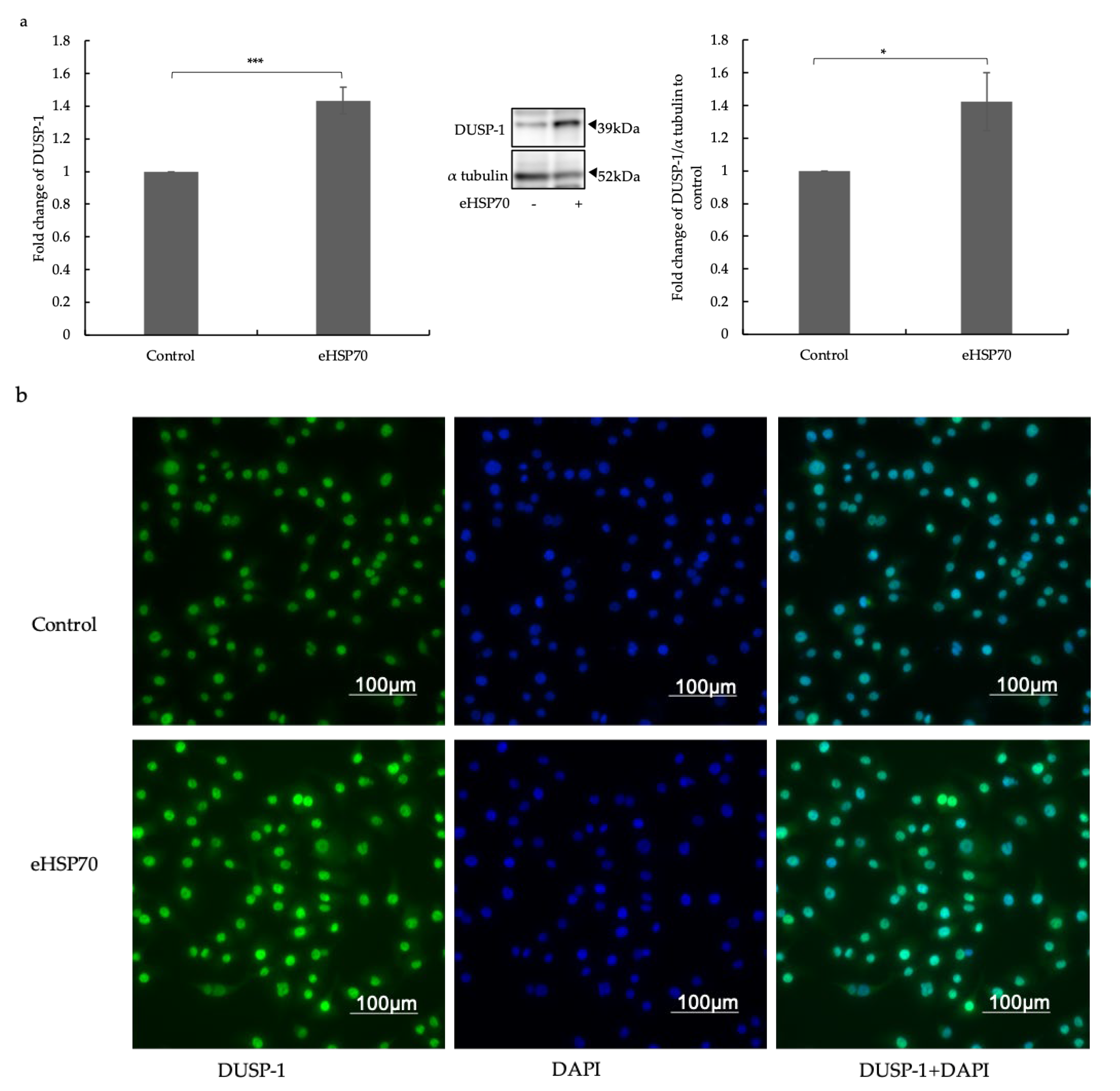 Ijms 24 11700 g003 Ijms 24 11700 g003
