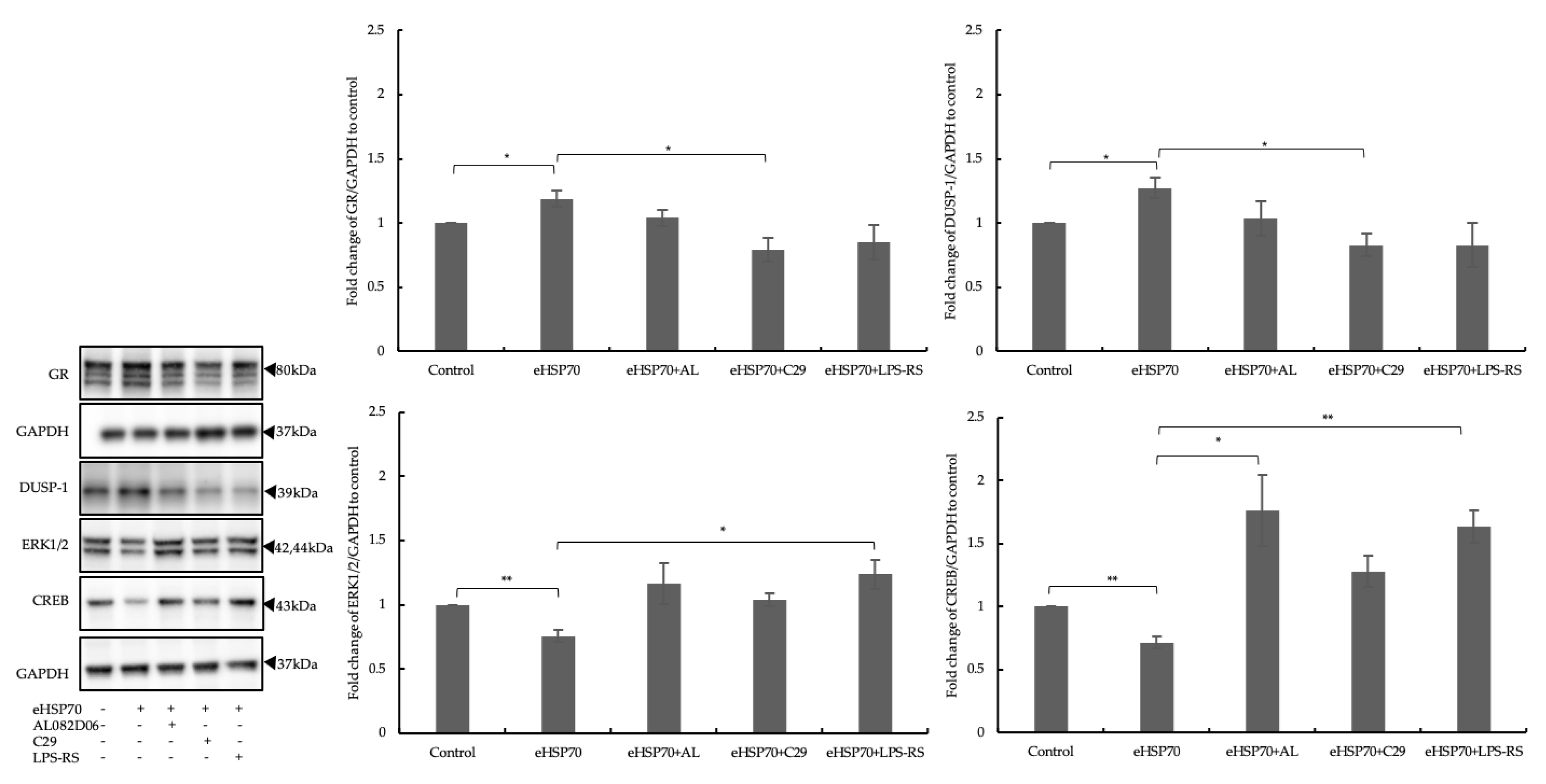 Ijms 24 11700 g006 Ijms 24 11700 g006