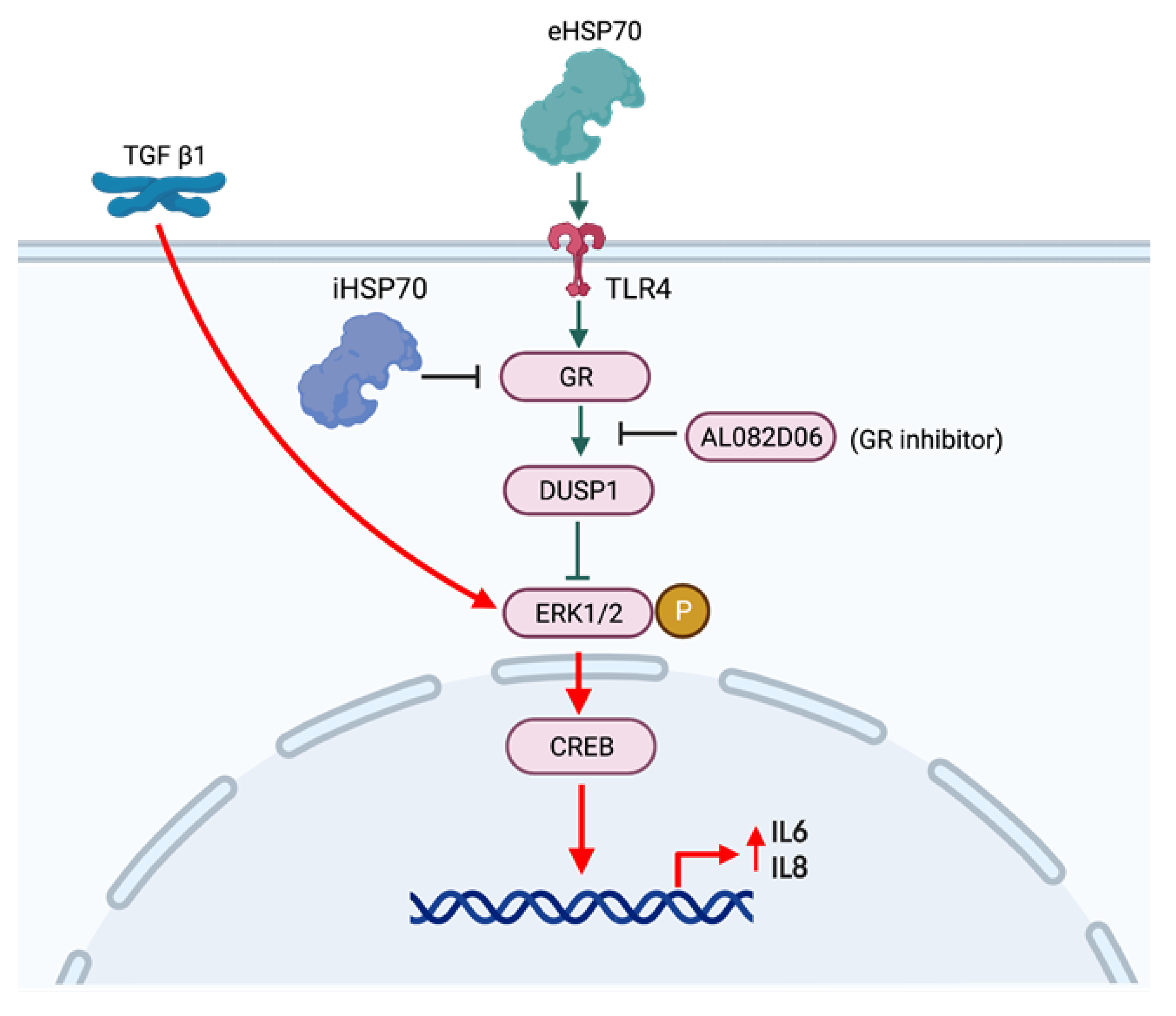 Ijms 24 11700 g008 Ijms 24 11700 g008