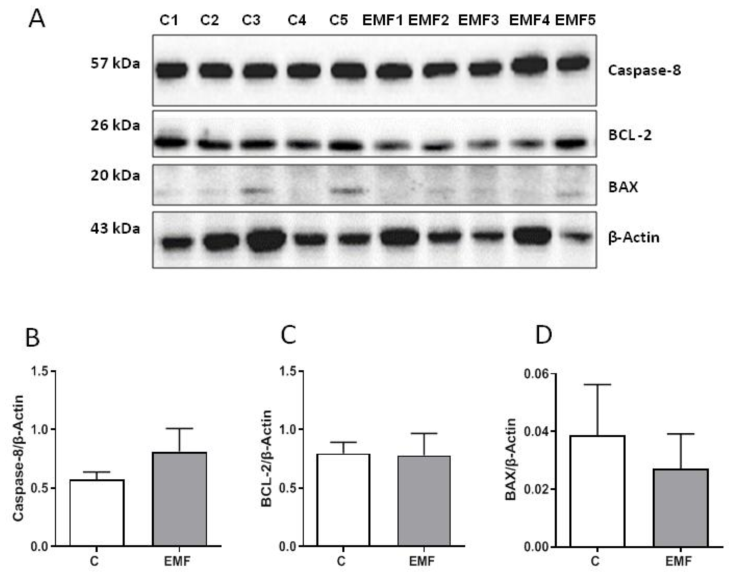 Ijms 24 11709 g003 Ijms 24 11709 g003