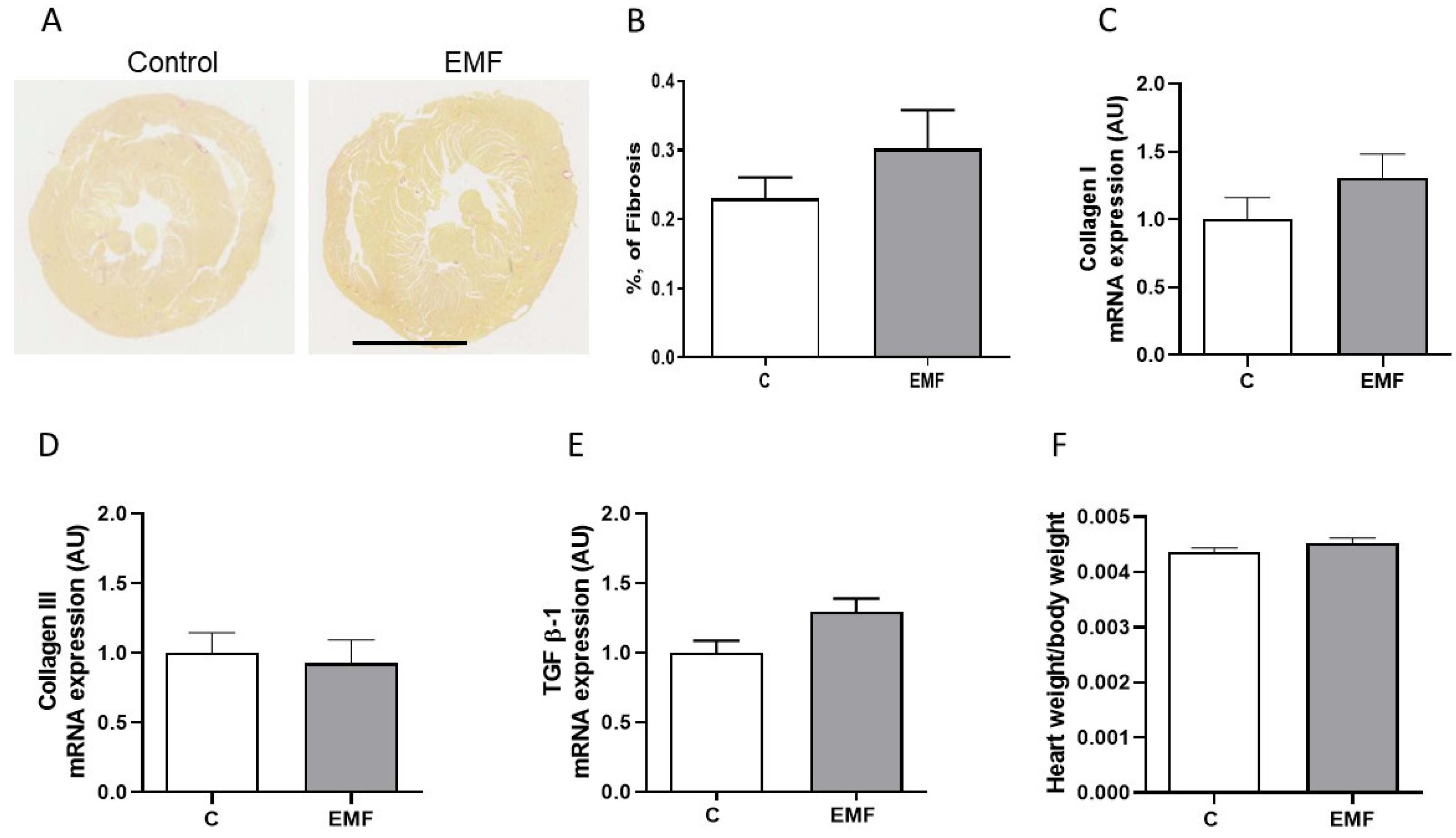 Ijms 24 11709 g006 Ijms 24 11709 g006
