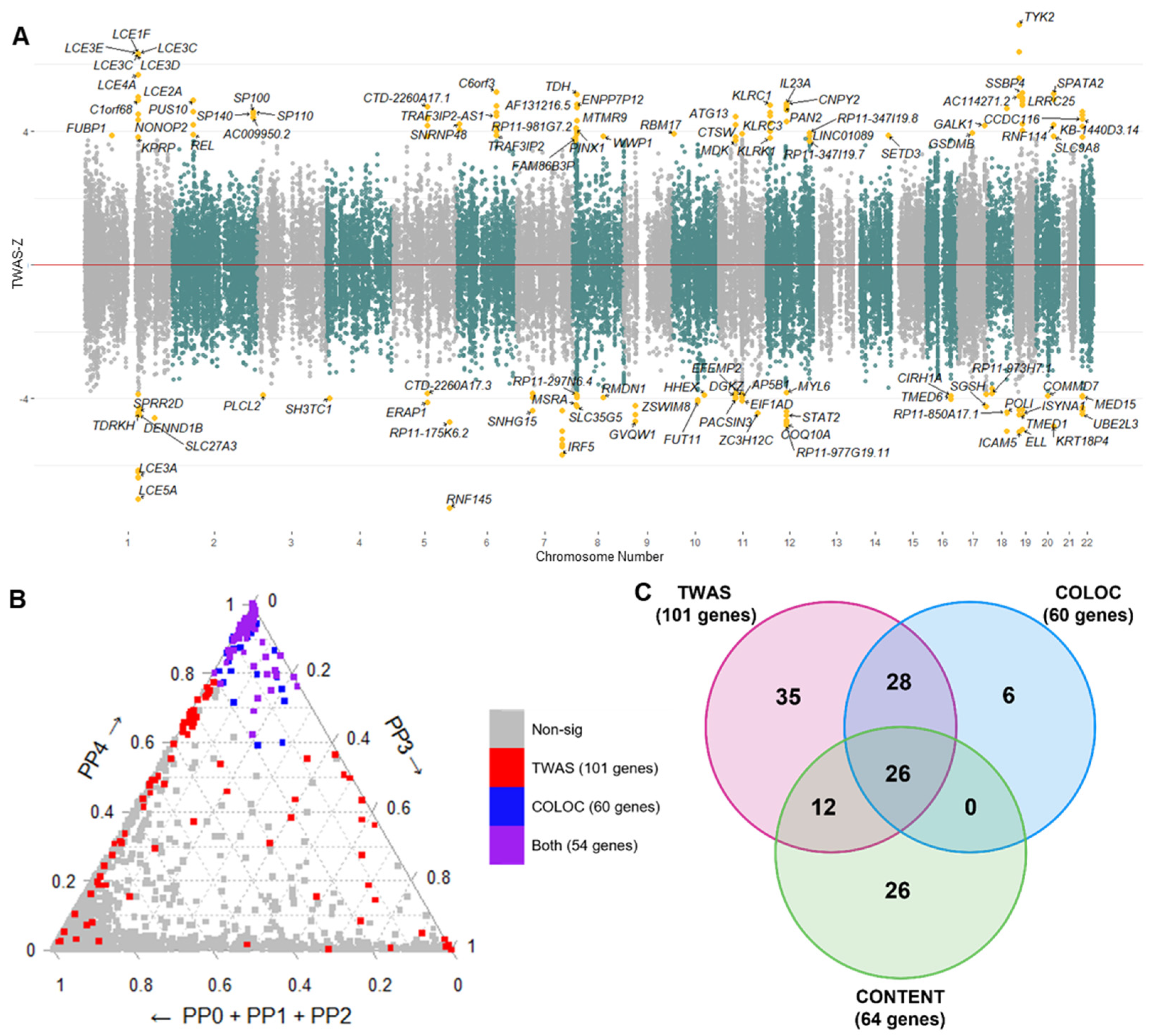 Ijms 24 11717 g003 Ijms 24 11717 g003