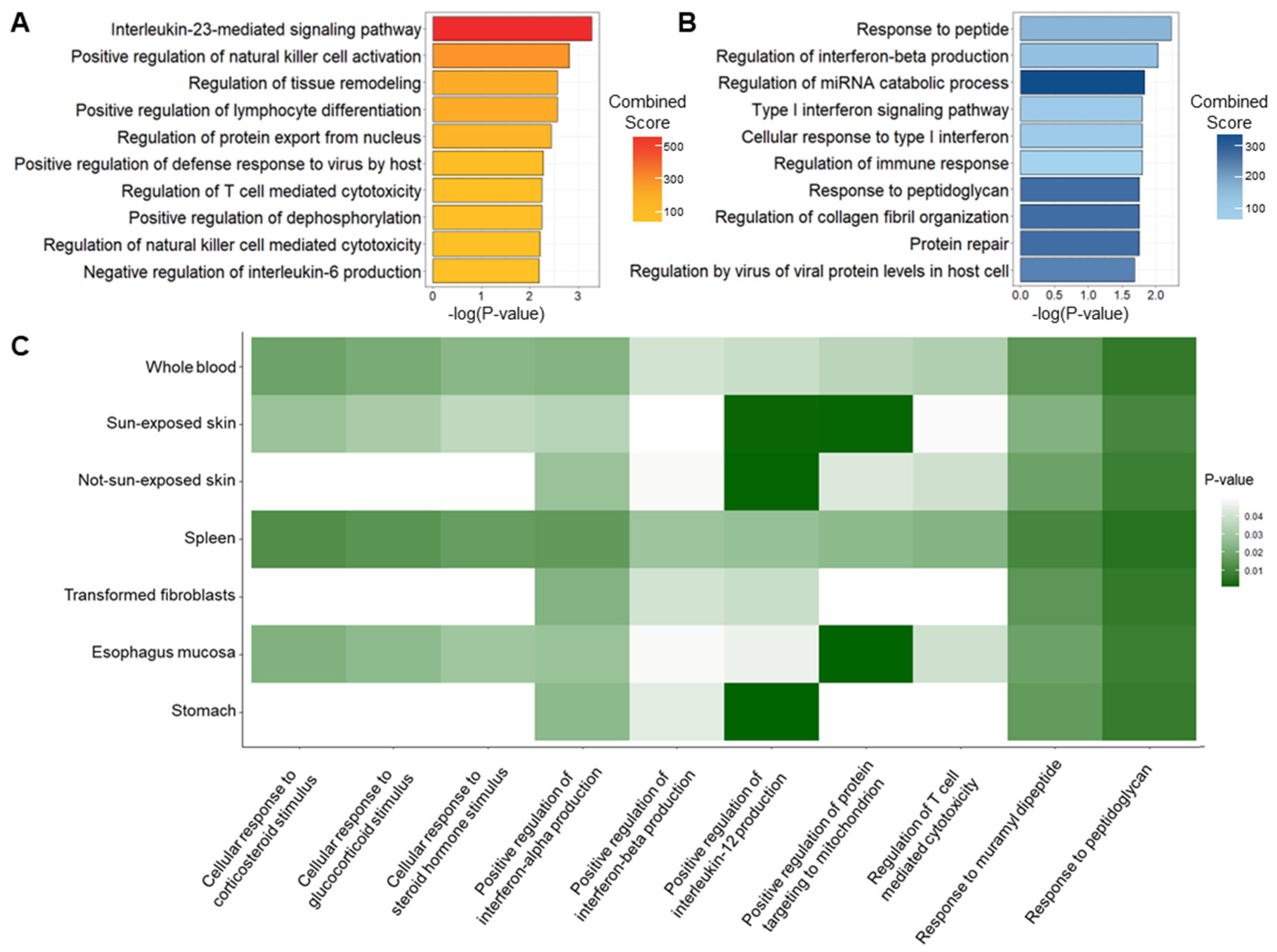 Ijms 24 11717 g004 Ijms 24 11717 g004