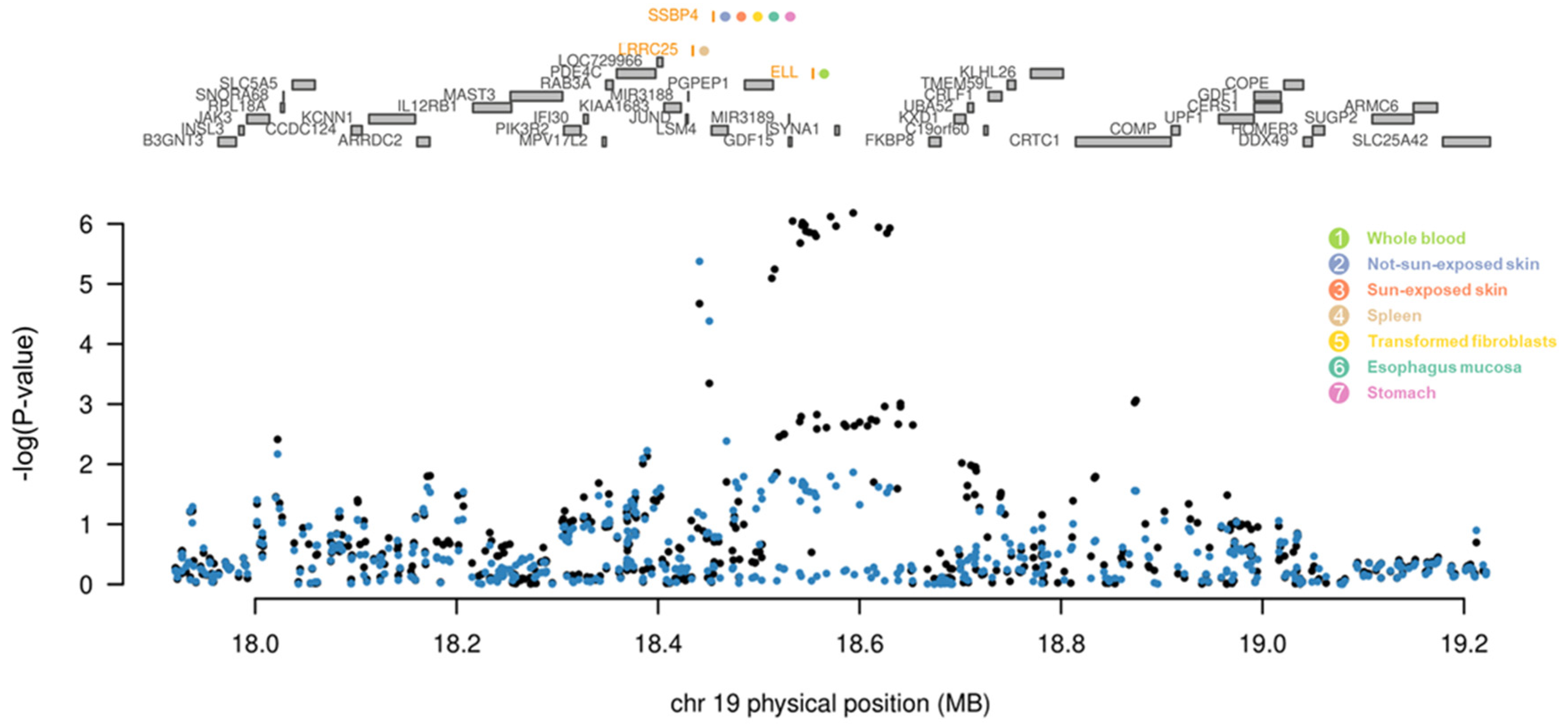 Ijms 24 11717 g005 Ijms 24 11717 g005
