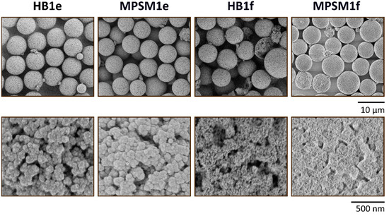 Tailoring the Morphology of Monodisperse Mesoporous Silica Particles ...