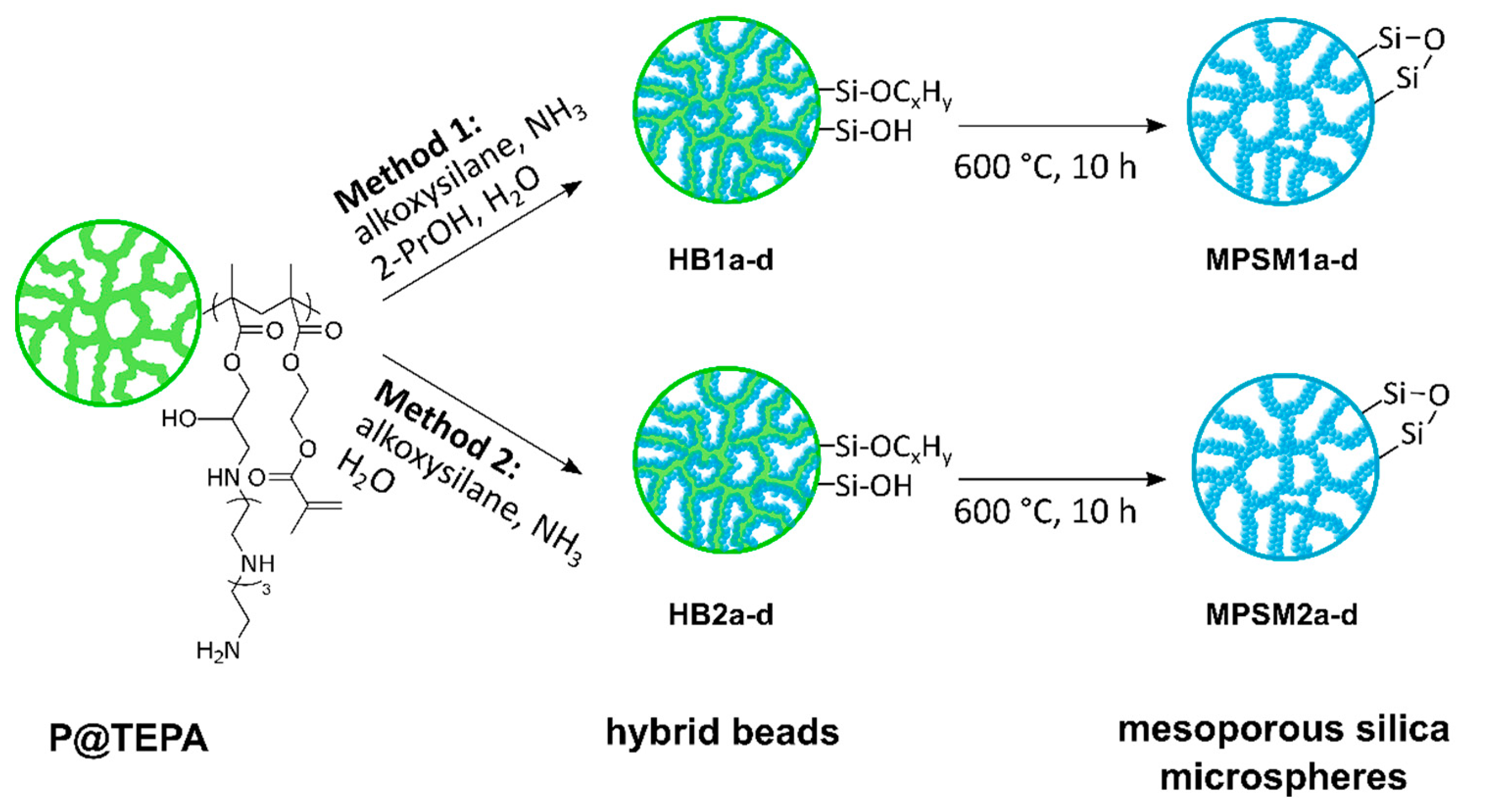 Ijms 24 11729 sch001