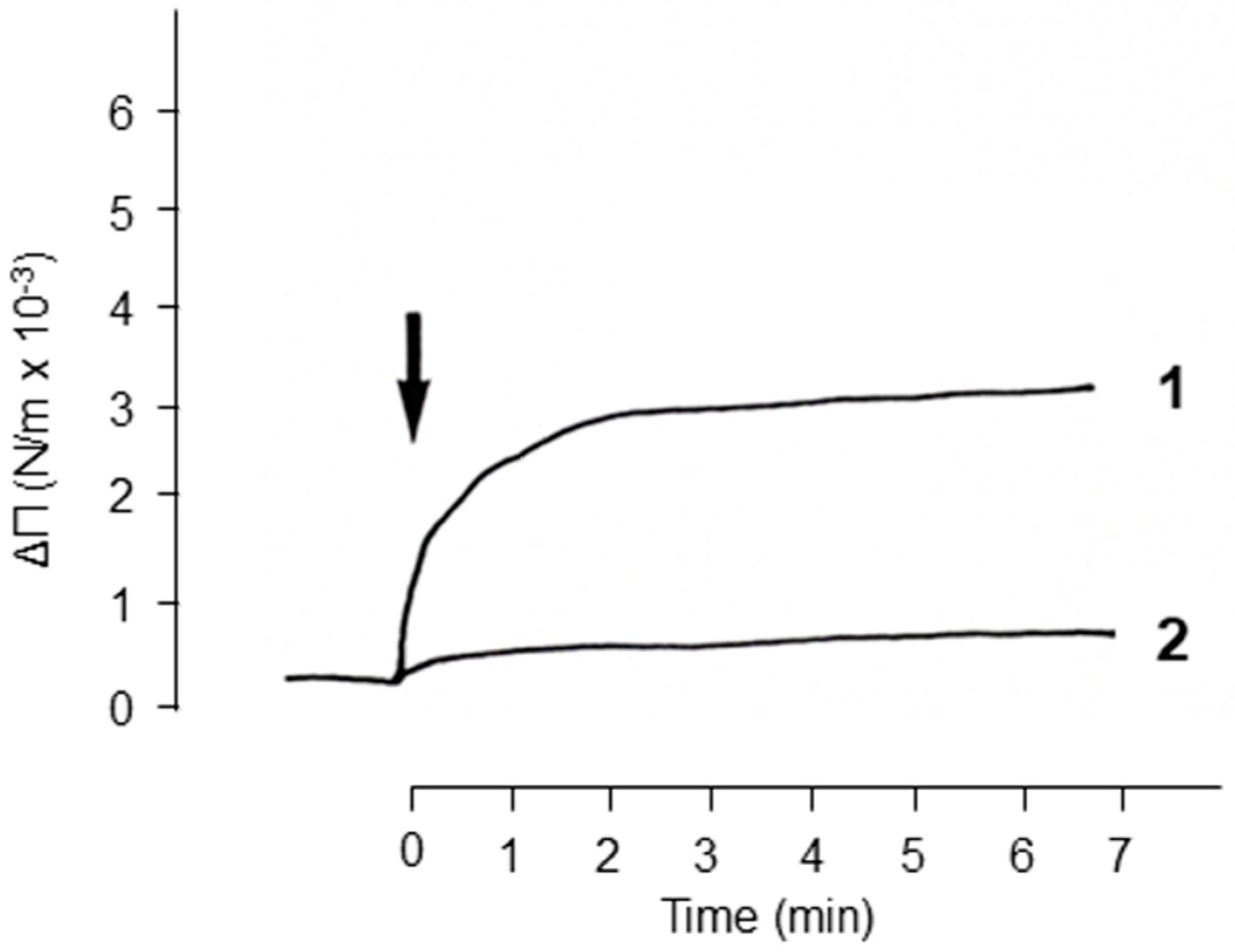 Ijms 24 11730 g006 Ijms 24 11730 g006