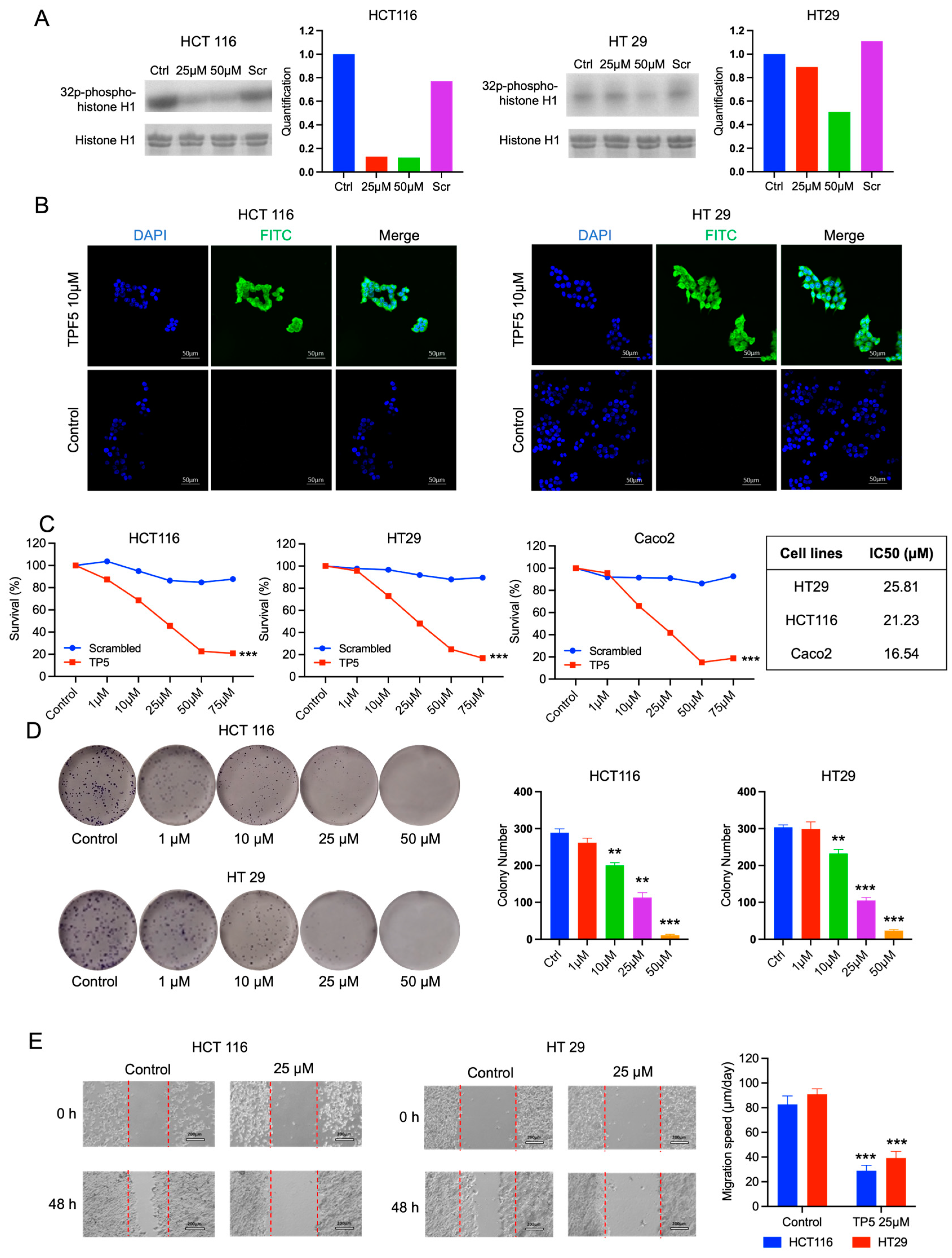 Ijms 24 11733 g001 Ijms 24 11733 g001