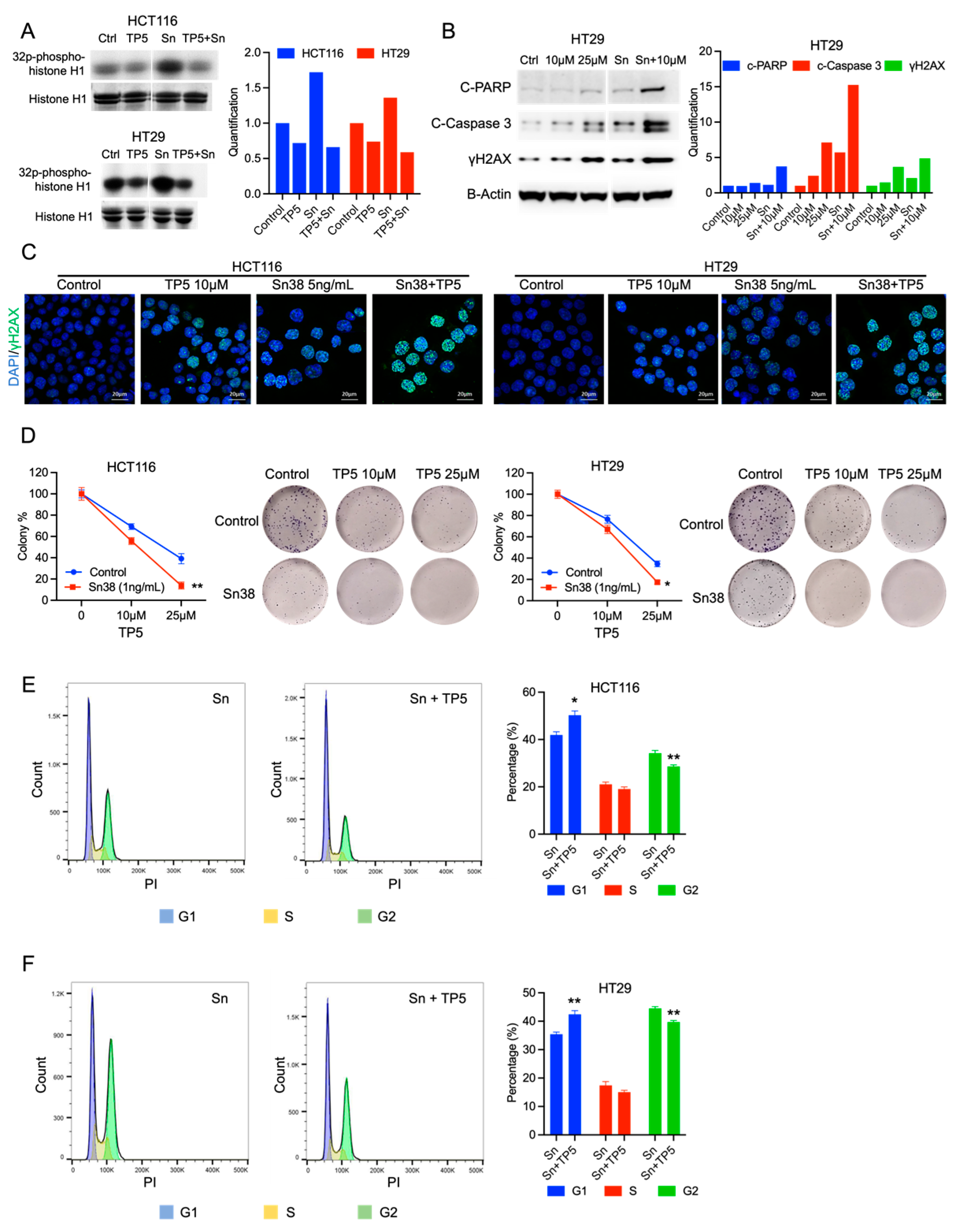 Ijms 24 11733 g003 Ijms 24 11733 g003