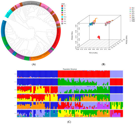 Chromosome-Level Genome Assembly and Population Genomic Analyses Reveal ...