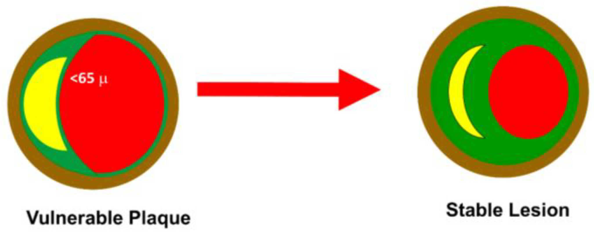 Ijms 24 11739 g002 Ijms 24 11739 g002