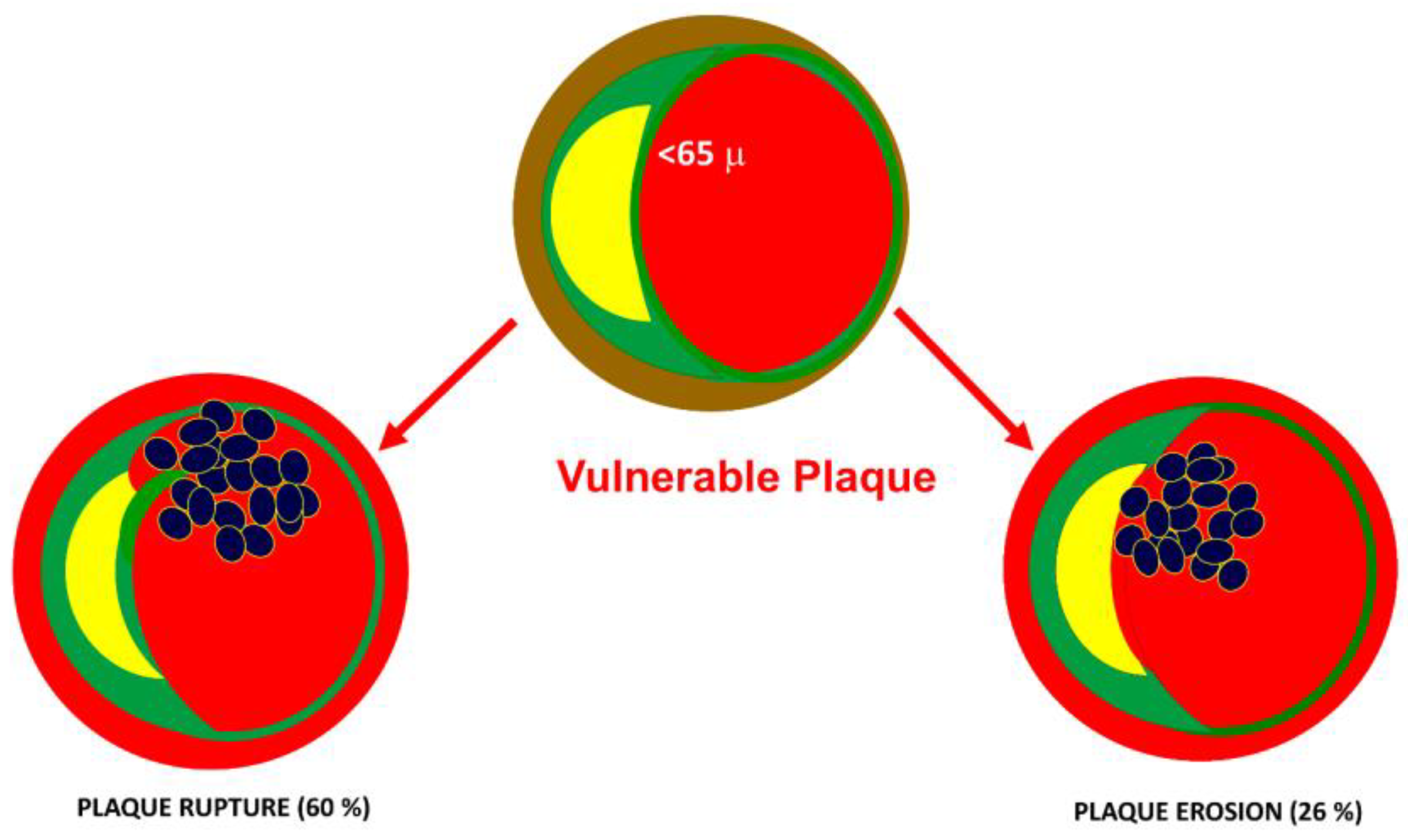 Ijms 24 11739 g004 Ijms 24 11739 g004