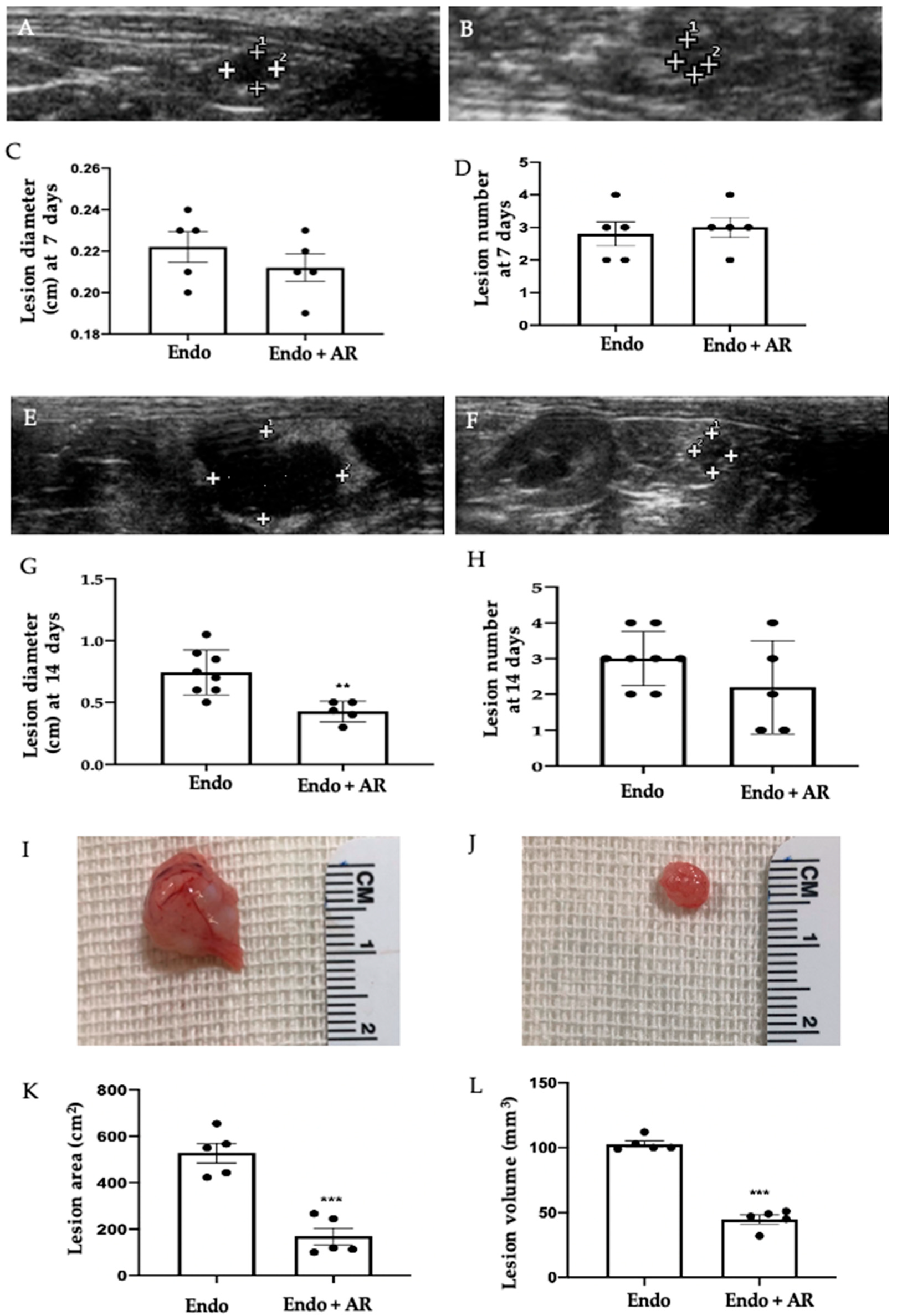 Ijms 24 11741 g001 Ijms 24 11741 g001