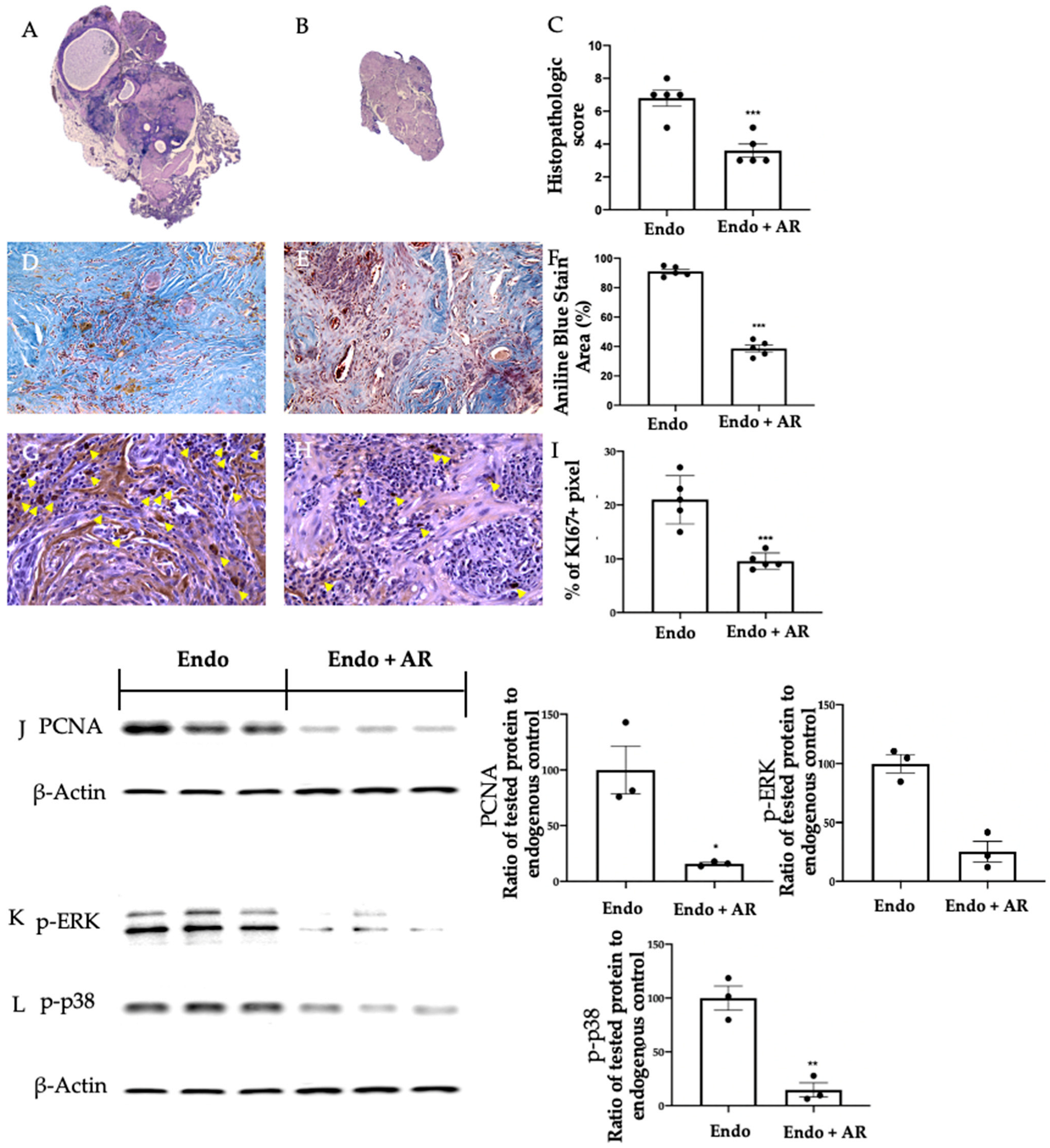 Ijms 24 11741 g002 Ijms 24 11741 g002