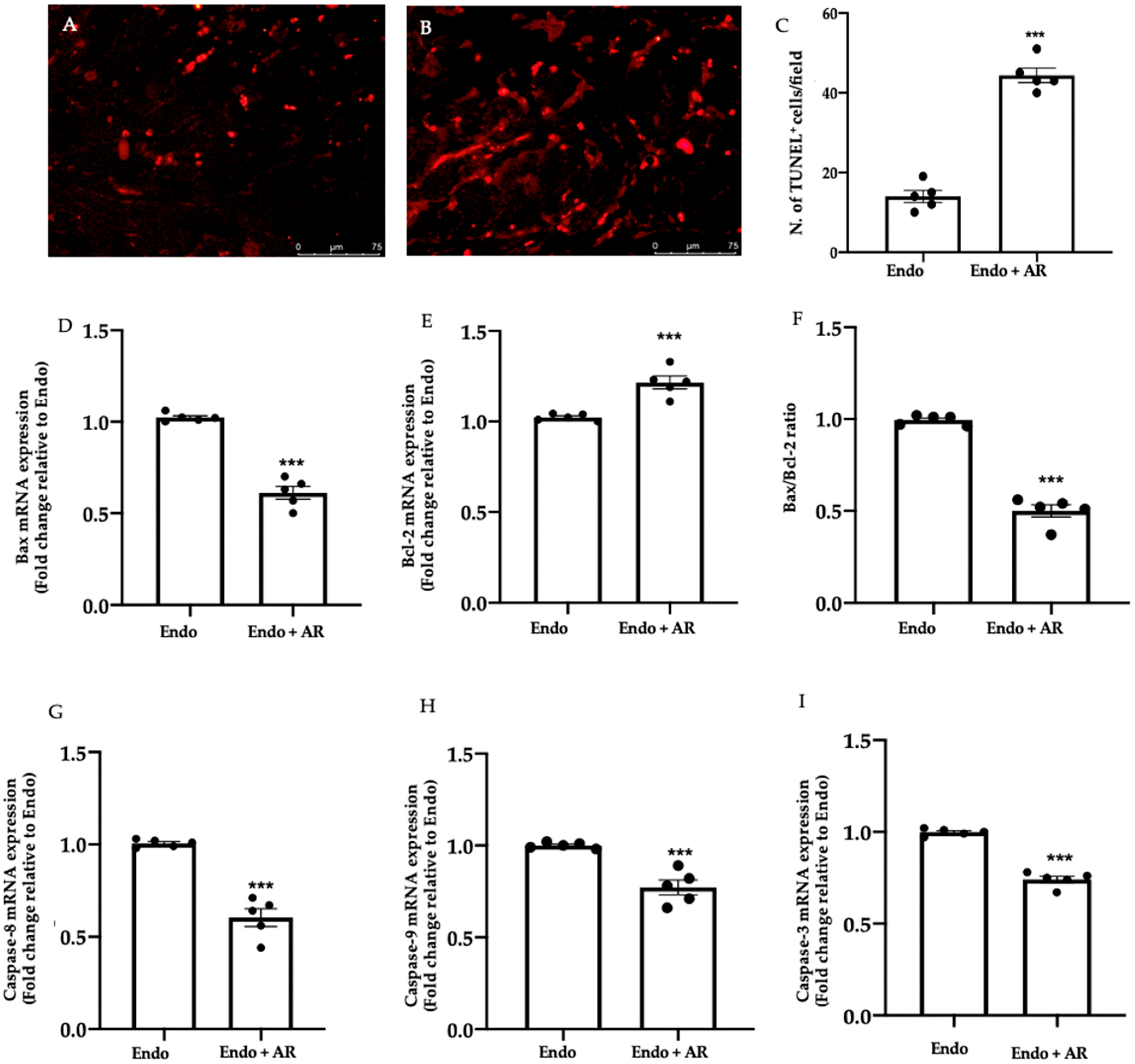 Ijms 24 11741 g003 Ijms 24 11741 g003