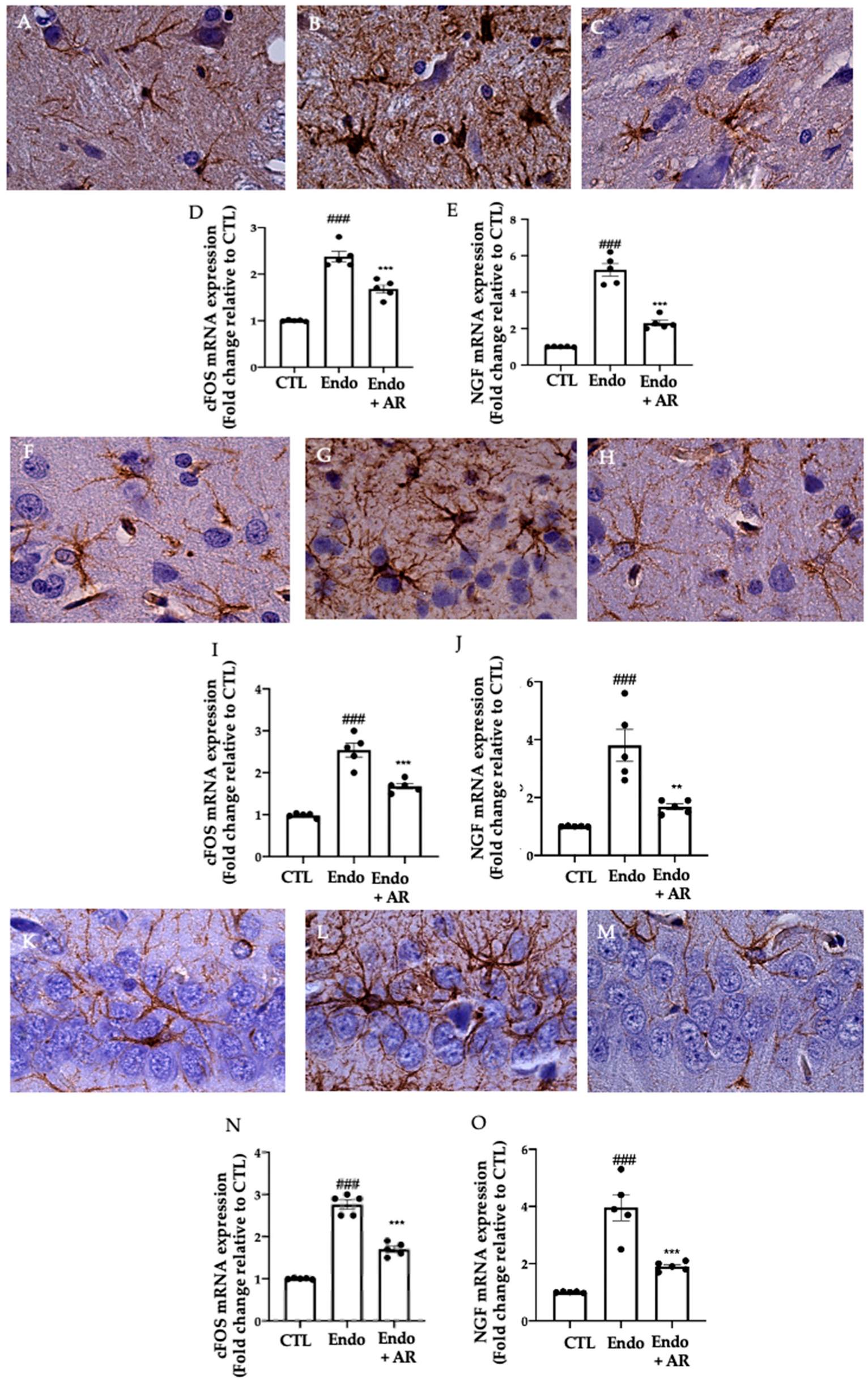 Ijms 24 11741 g006 Ijms 24 11741 g006