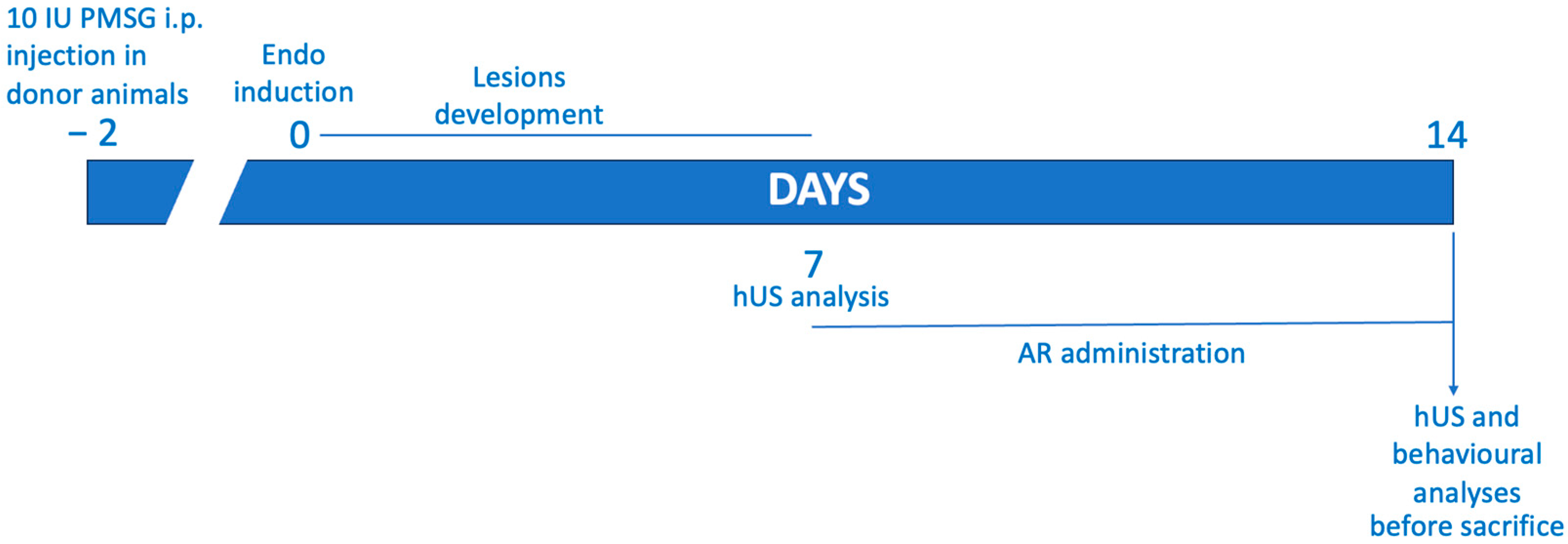 Ijms 24 11741 g007 Ijms 24 11741 g007