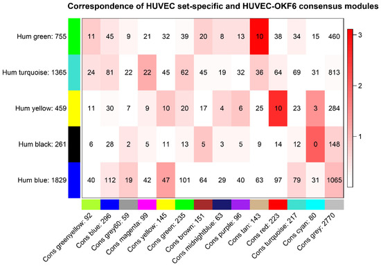 Consensus Gene Network Analysis Identifies the Key