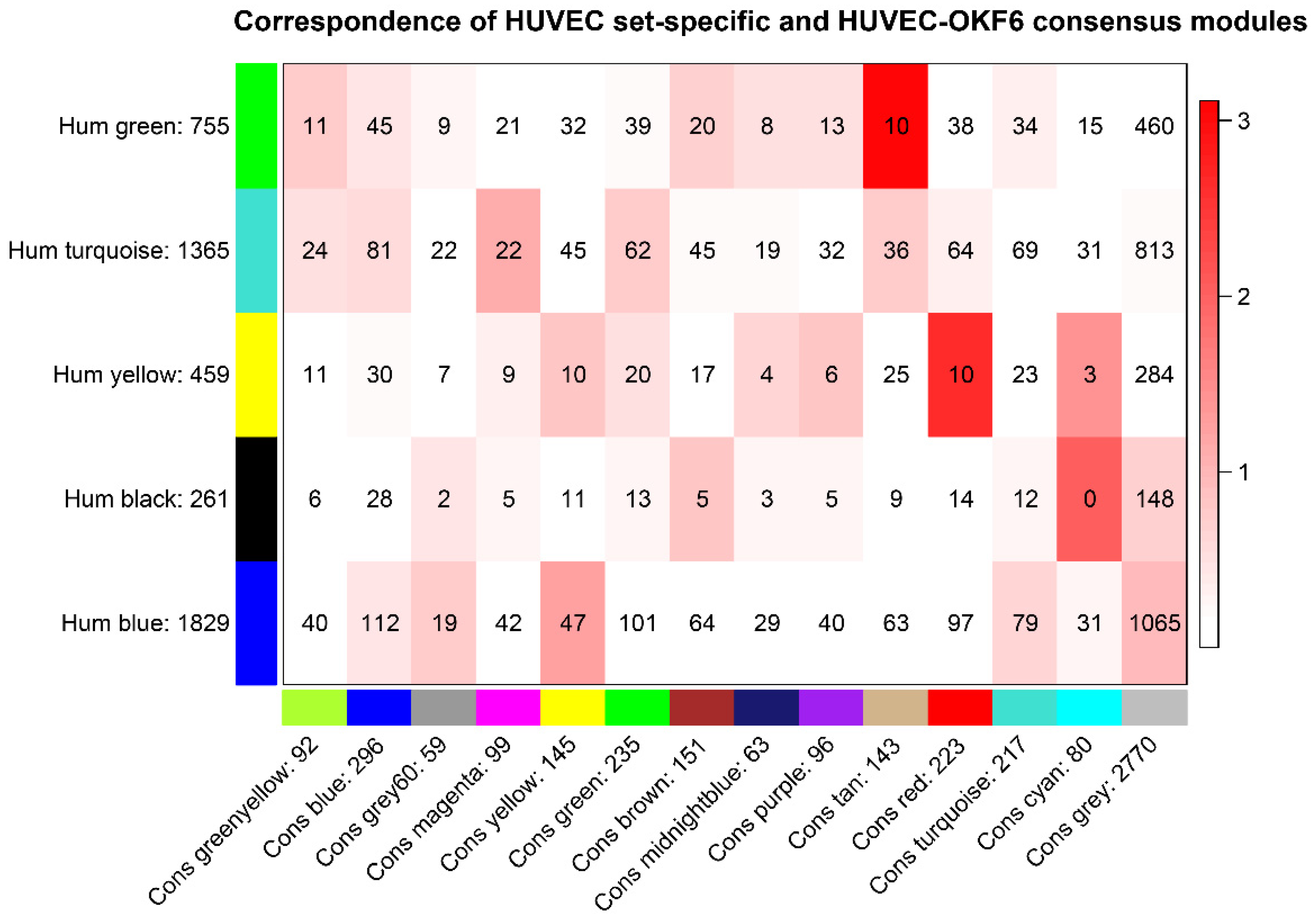 超熱 Consensus Key the Identifies Analysis Network Gene ポケモンカードゲーム
