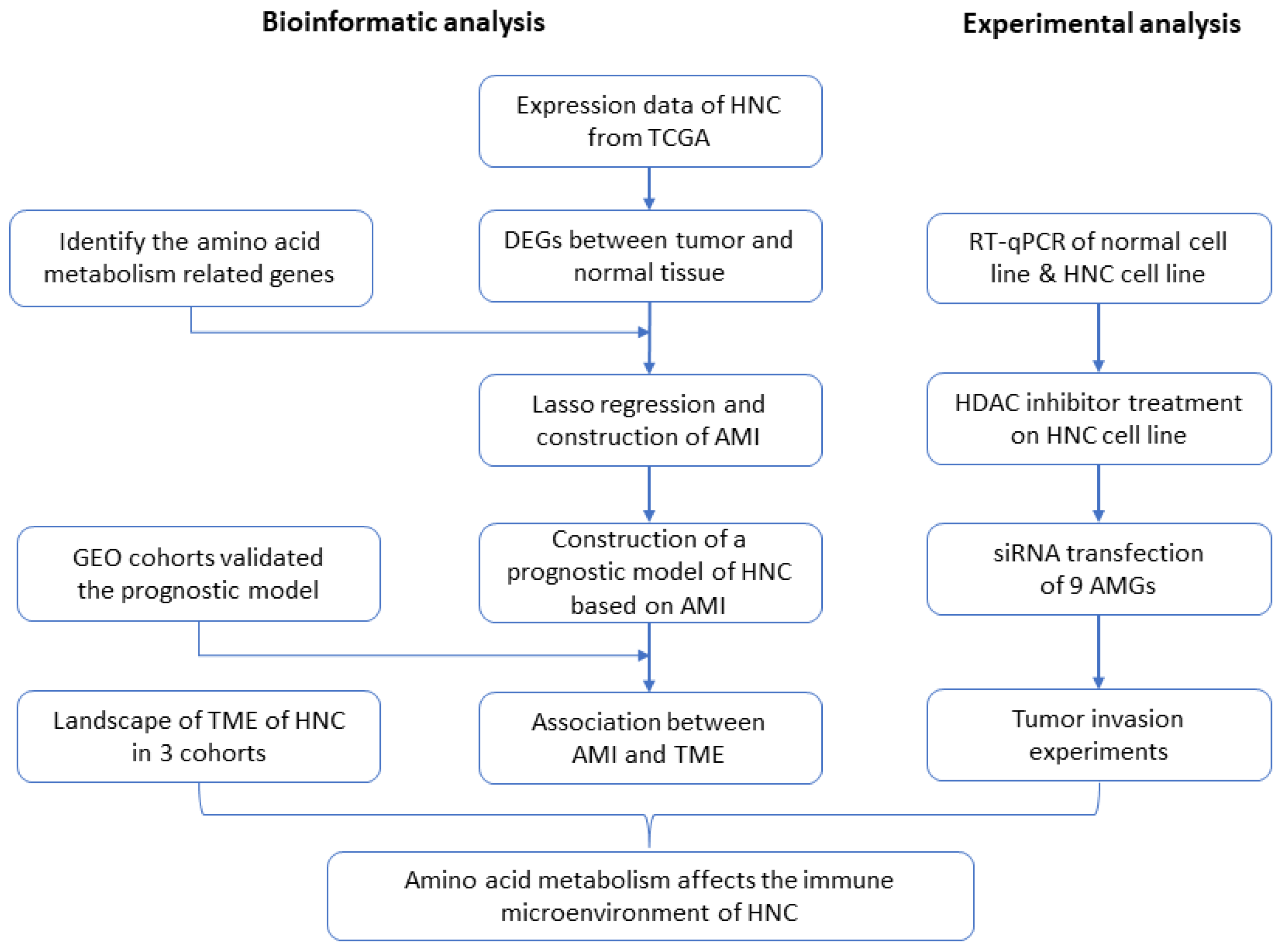 Ijms 24 11753 g001 Ijms 24 11753 g001