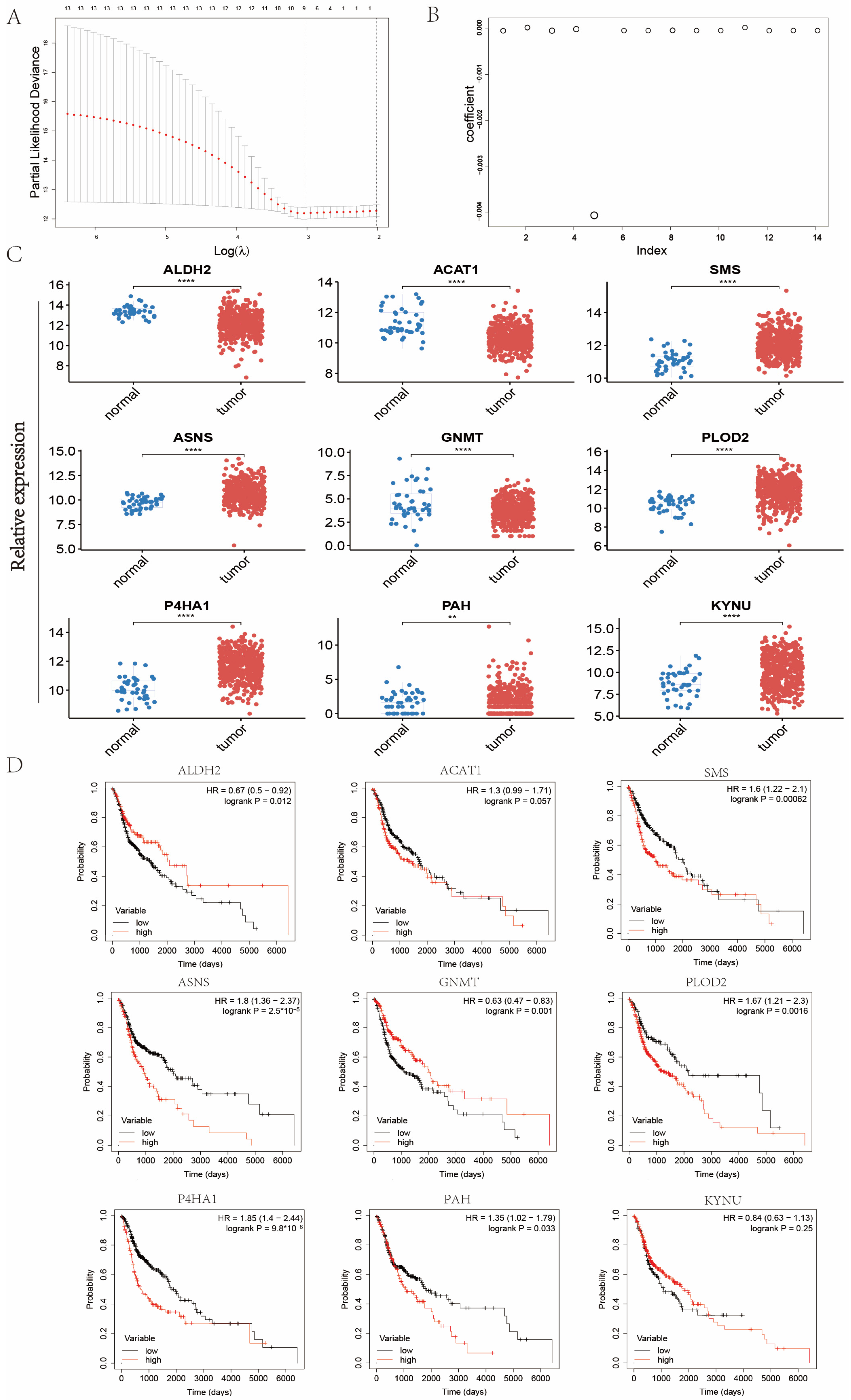 Ijms 24 11753 g003 Ijms 24 11753 g003