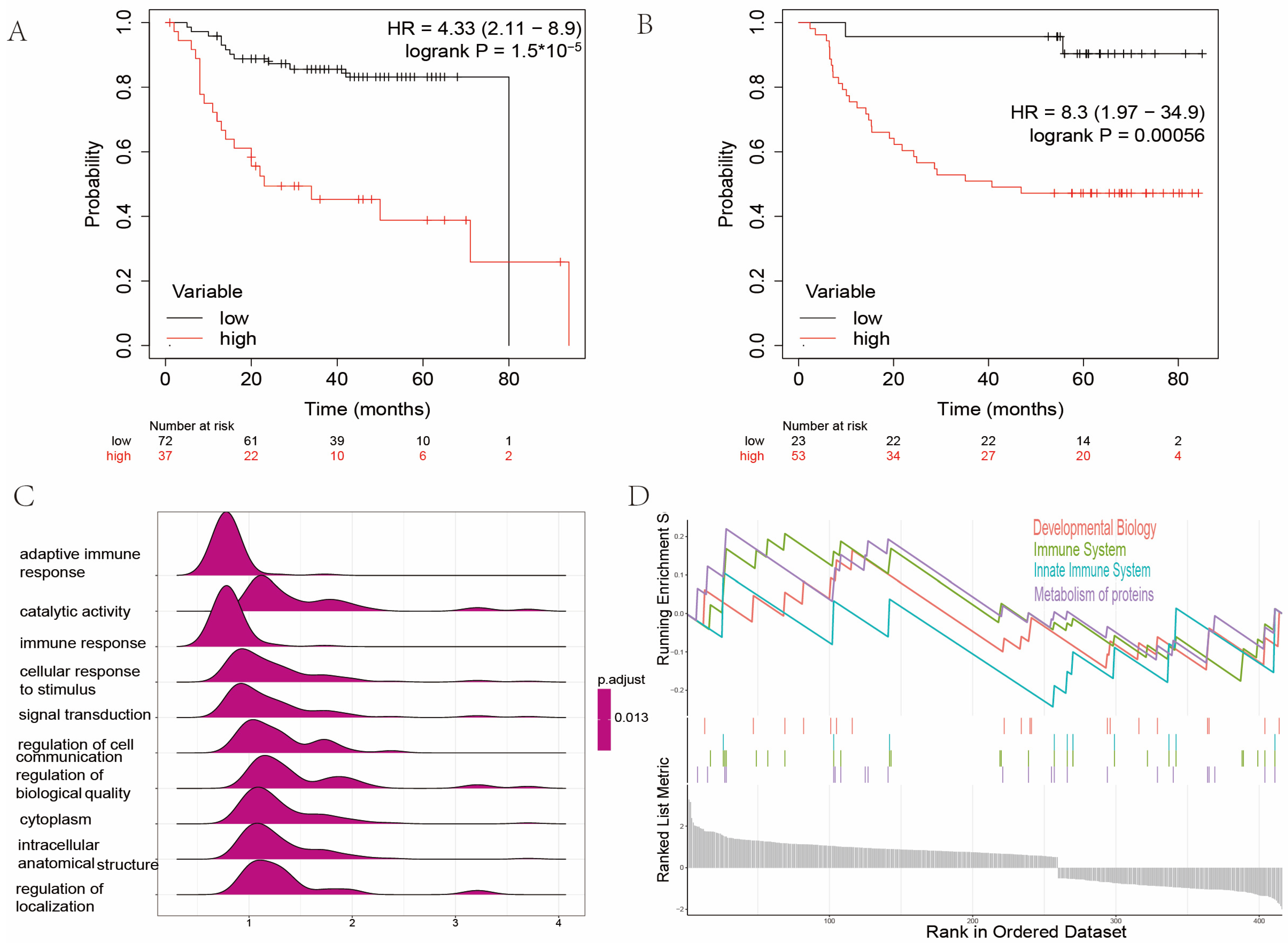 Ijms 24 11753 g005 Ijms 24 11753 g005
