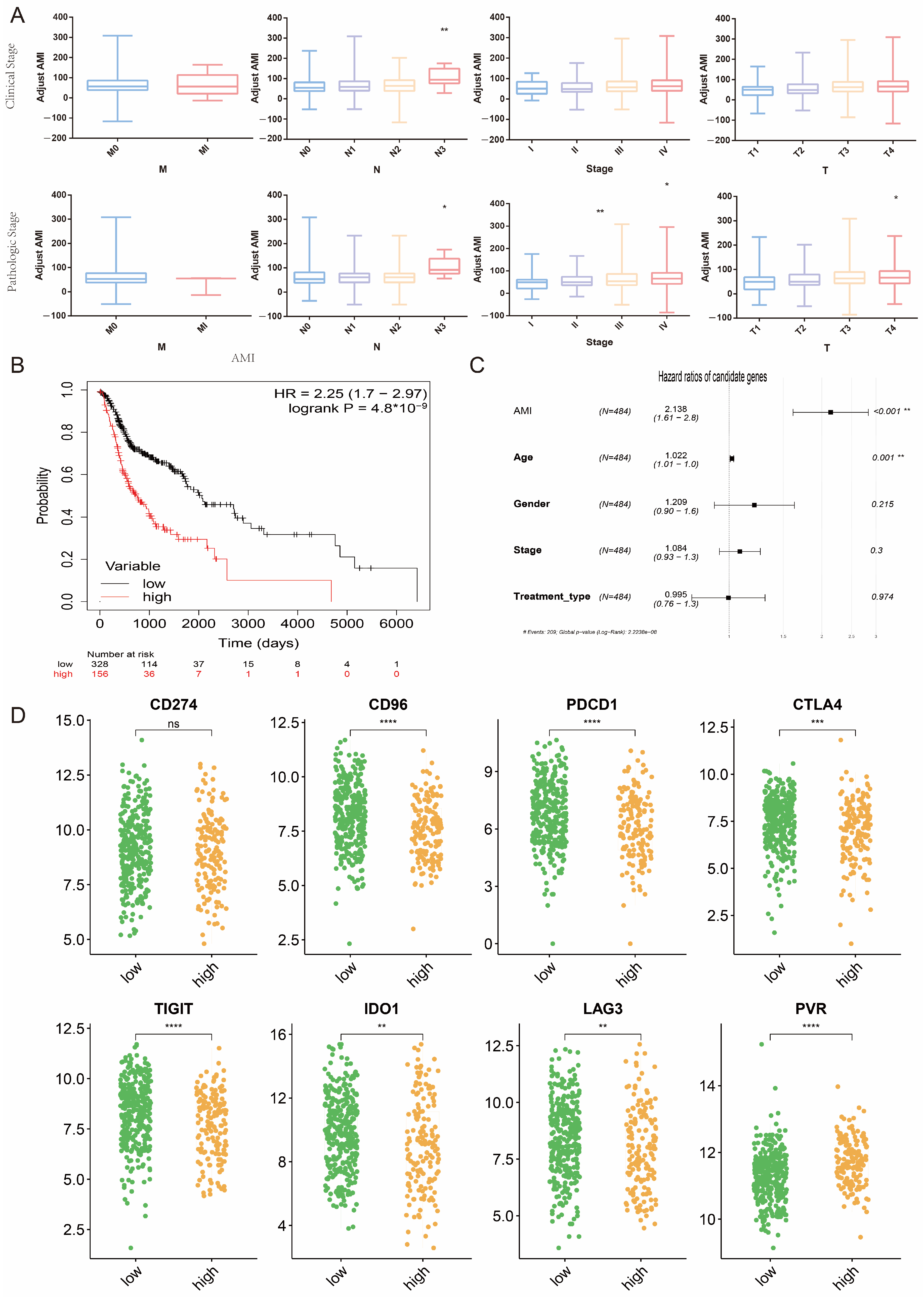 Ijms 24 11753 g007 Ijms 24 11753 g007