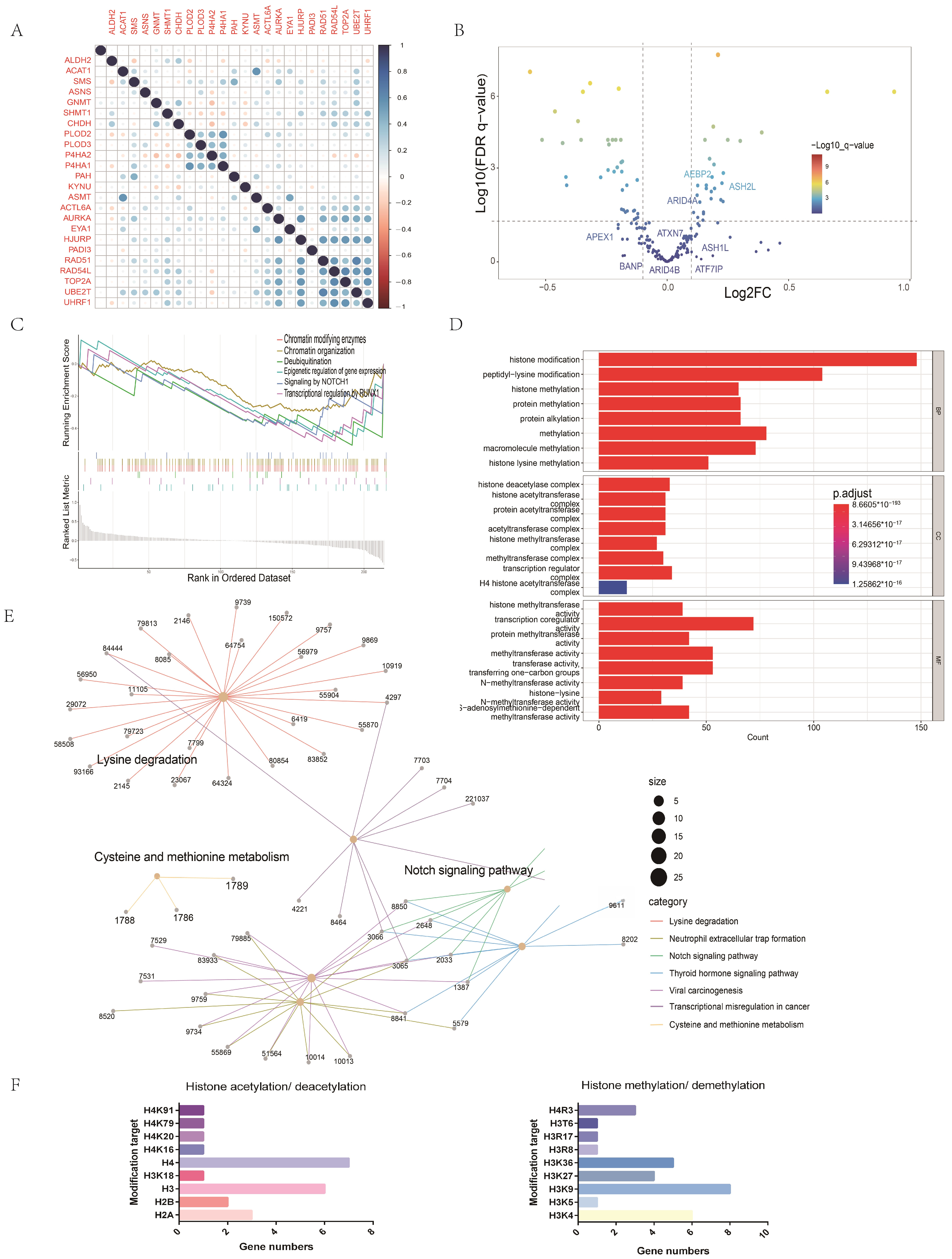 Ijms 24 11753 g008 Ijms 24 11753 g008