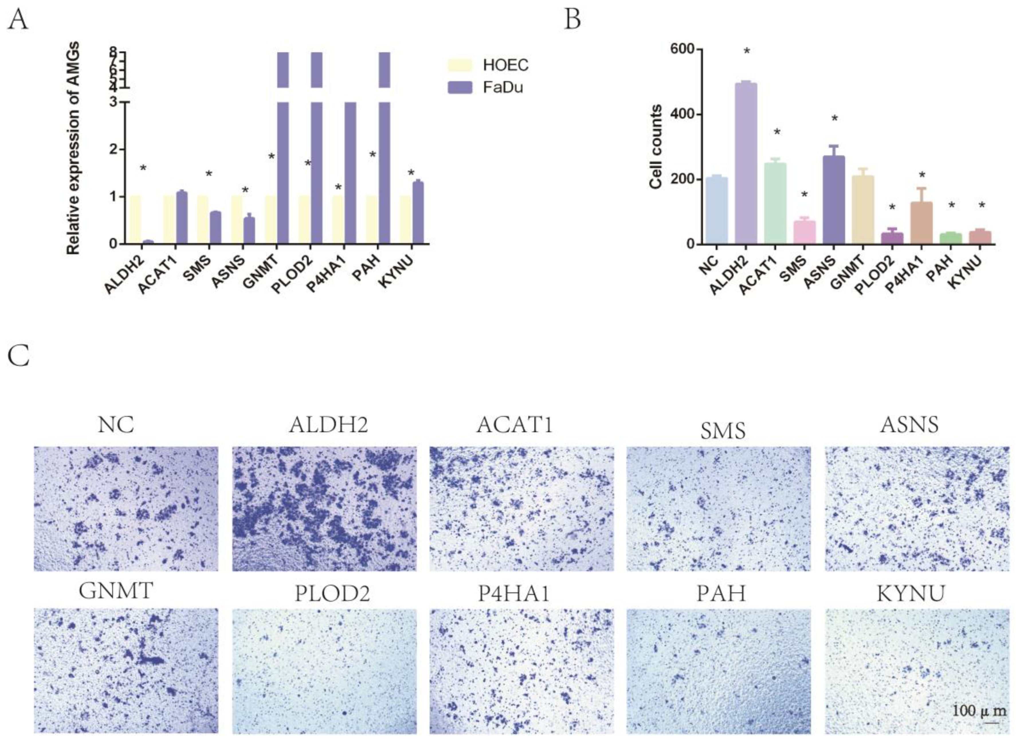 Ijms 24 11753 g009 Ijms 24 11753 g009