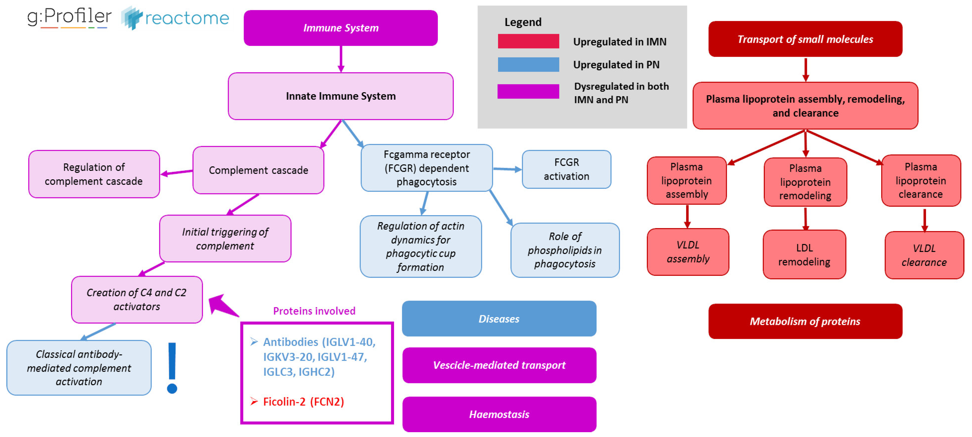 Ijms 24 11756 g002 Ijms 24 11756 g002