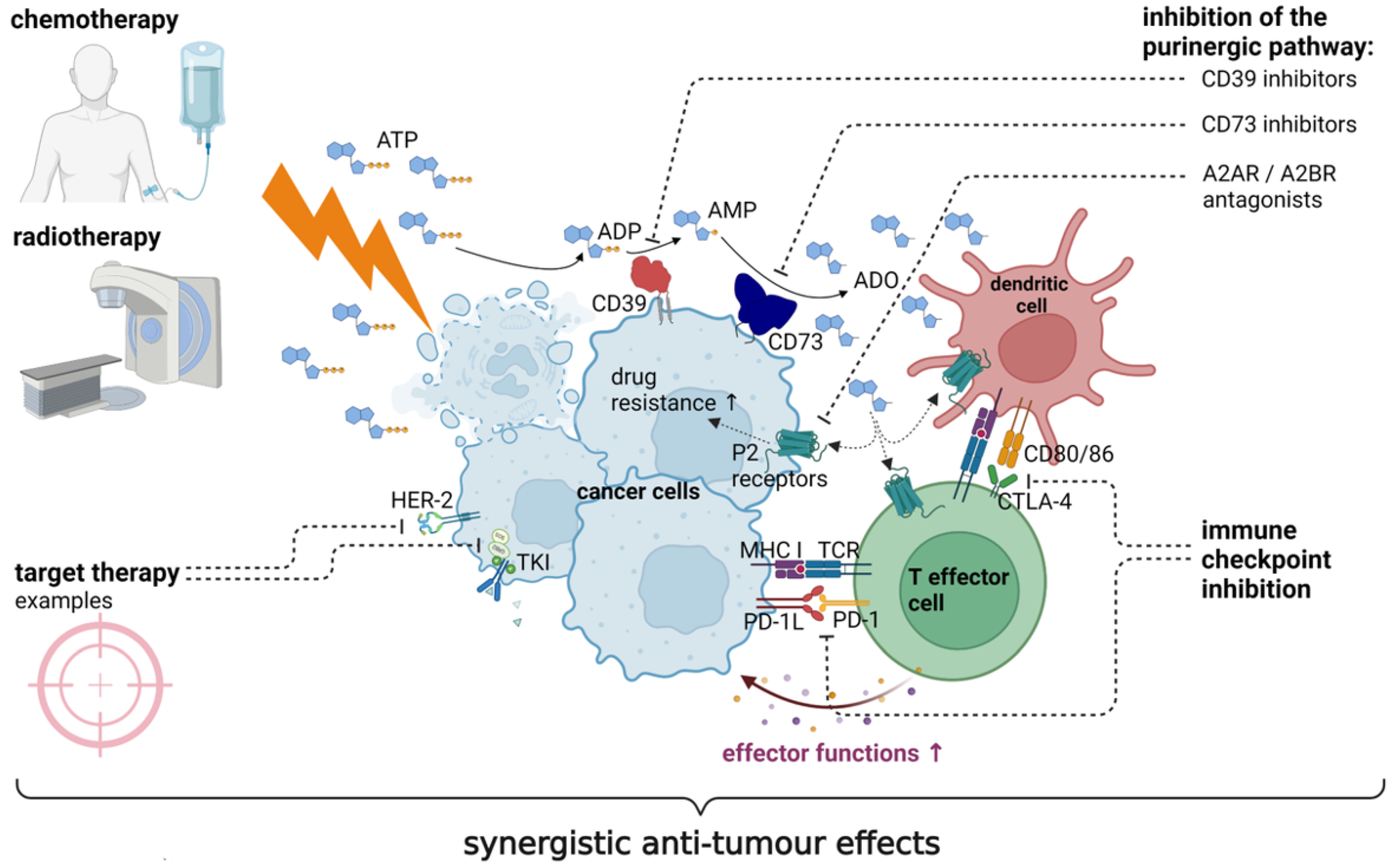 Ijms 24 11759 g002 Ijms 24 11759 g002